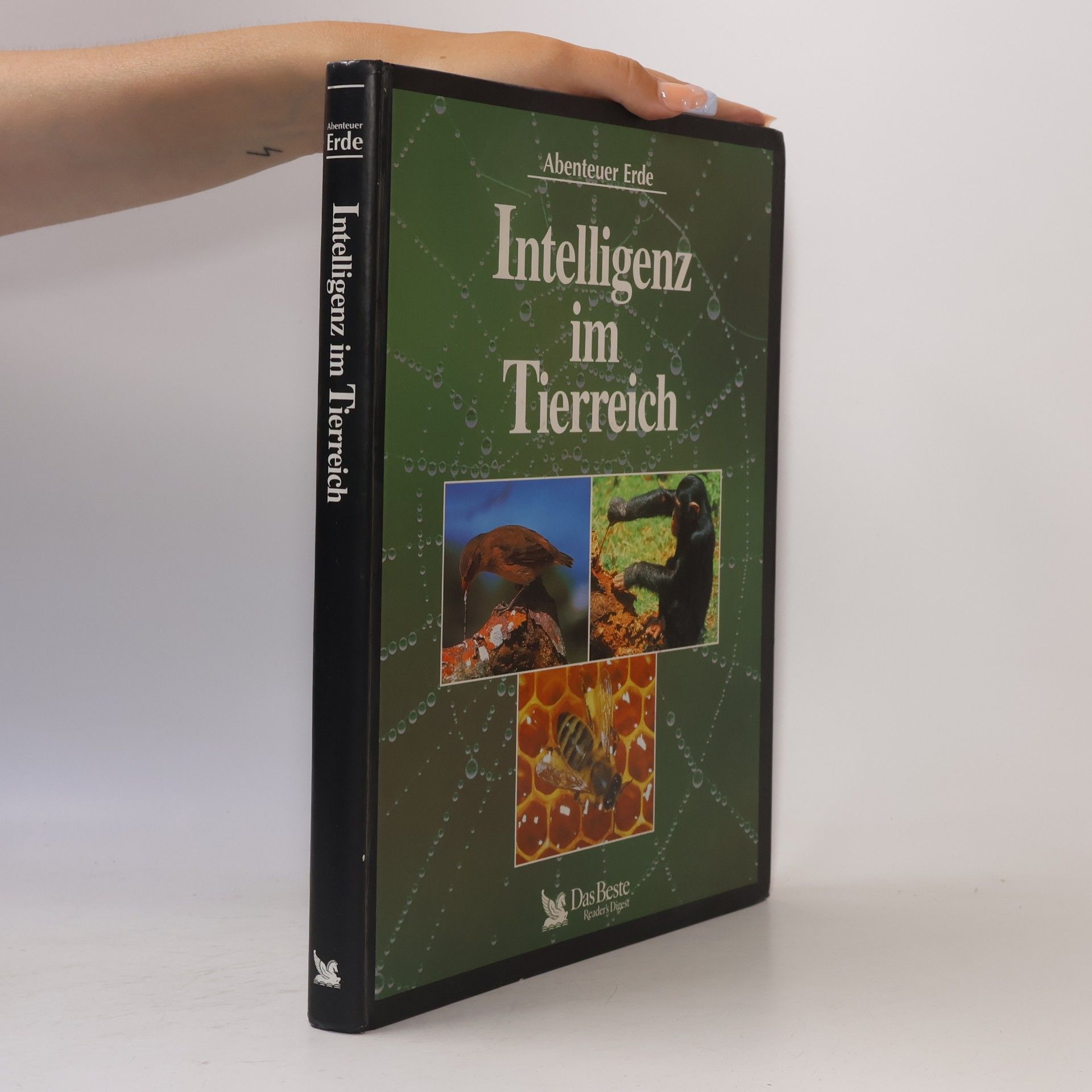 Kolektiv autorů Intelligenz im Tierreich