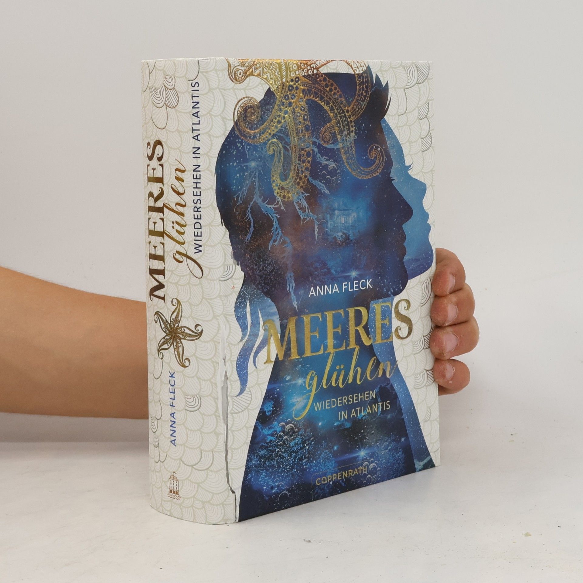 Anna Fleck Meeresglühen (Romantasy-Trilogie, Bd. 2)