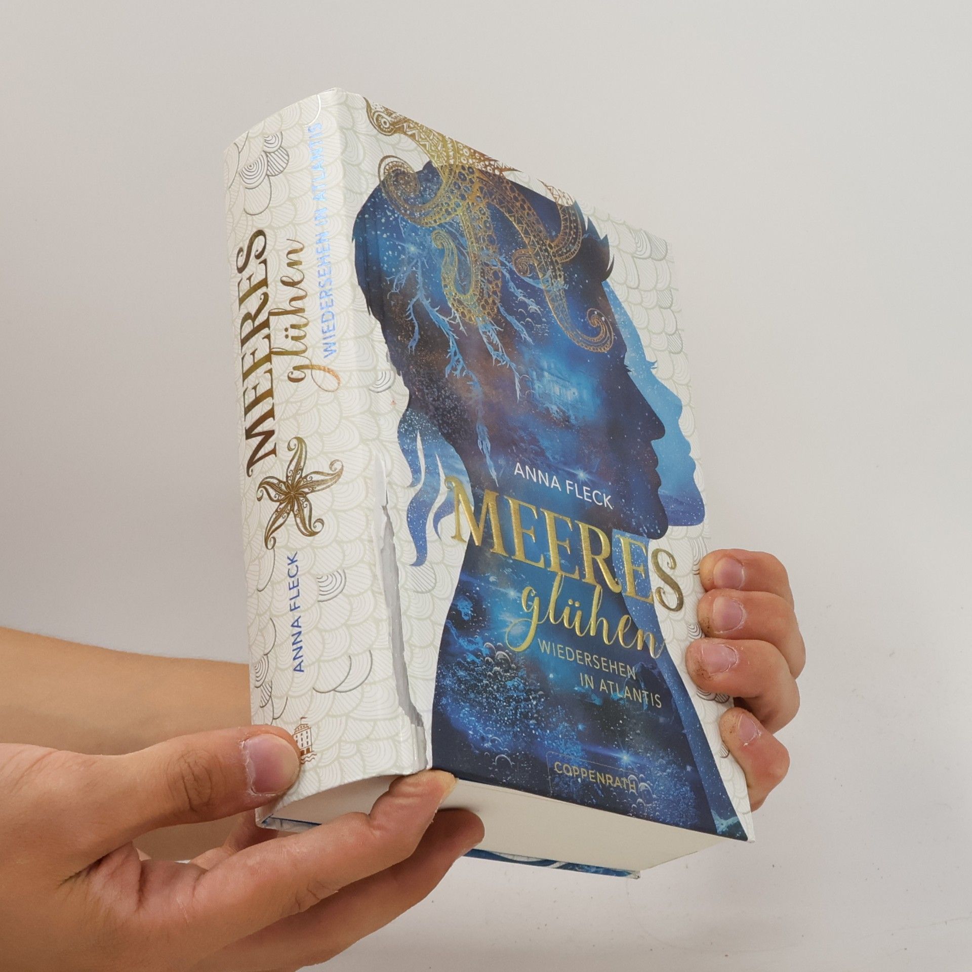 Anna Fleck Meeresglühen (Romantasy-Trilogie, Bd. 2)
