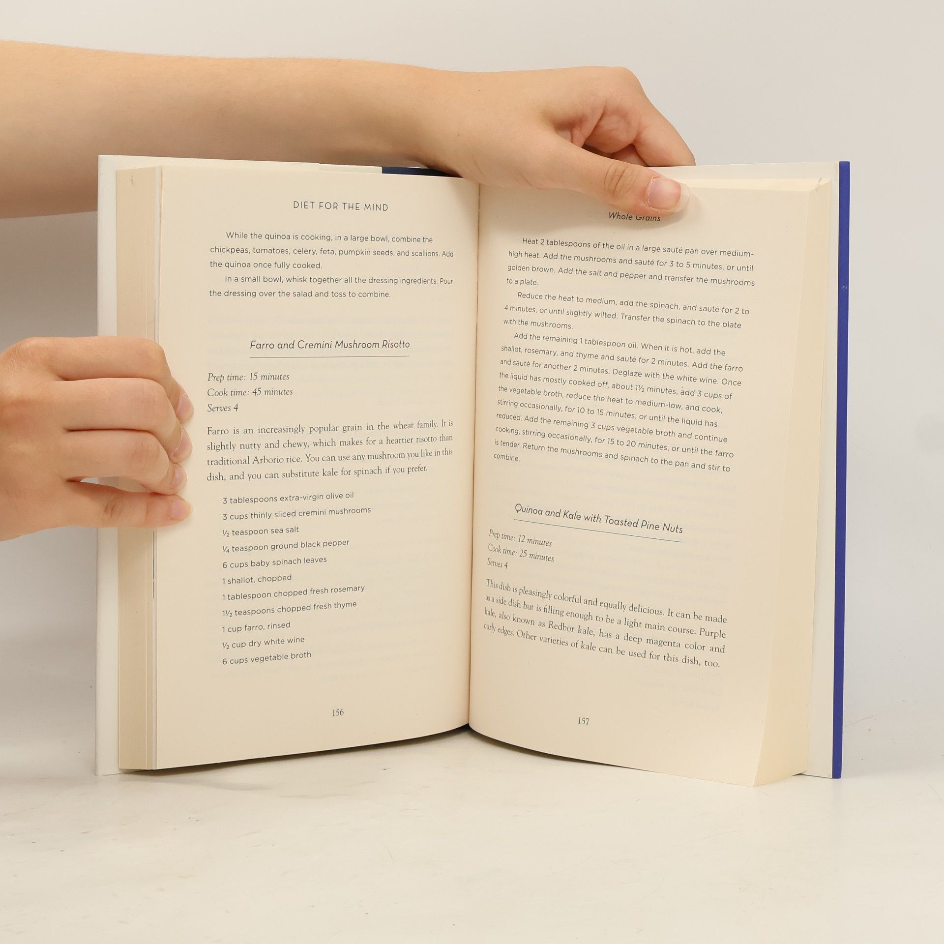 Martha Clare Morris Diet for the MIND