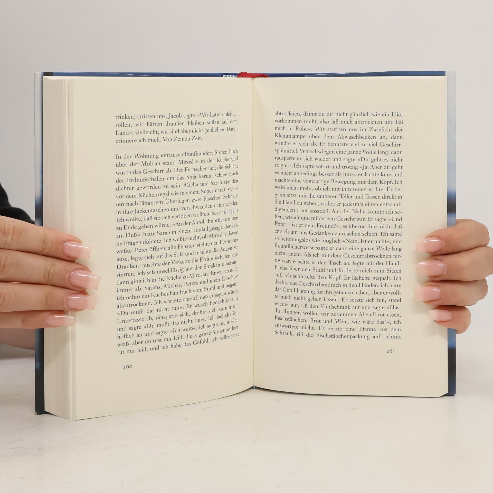 Judith Hermann Nichts als Gespenster