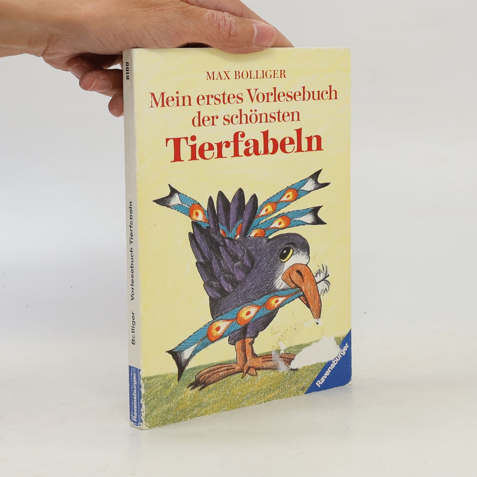 Autorenkollektiv Mein erstes Vorlesebuch der schönsten Tierfabeln