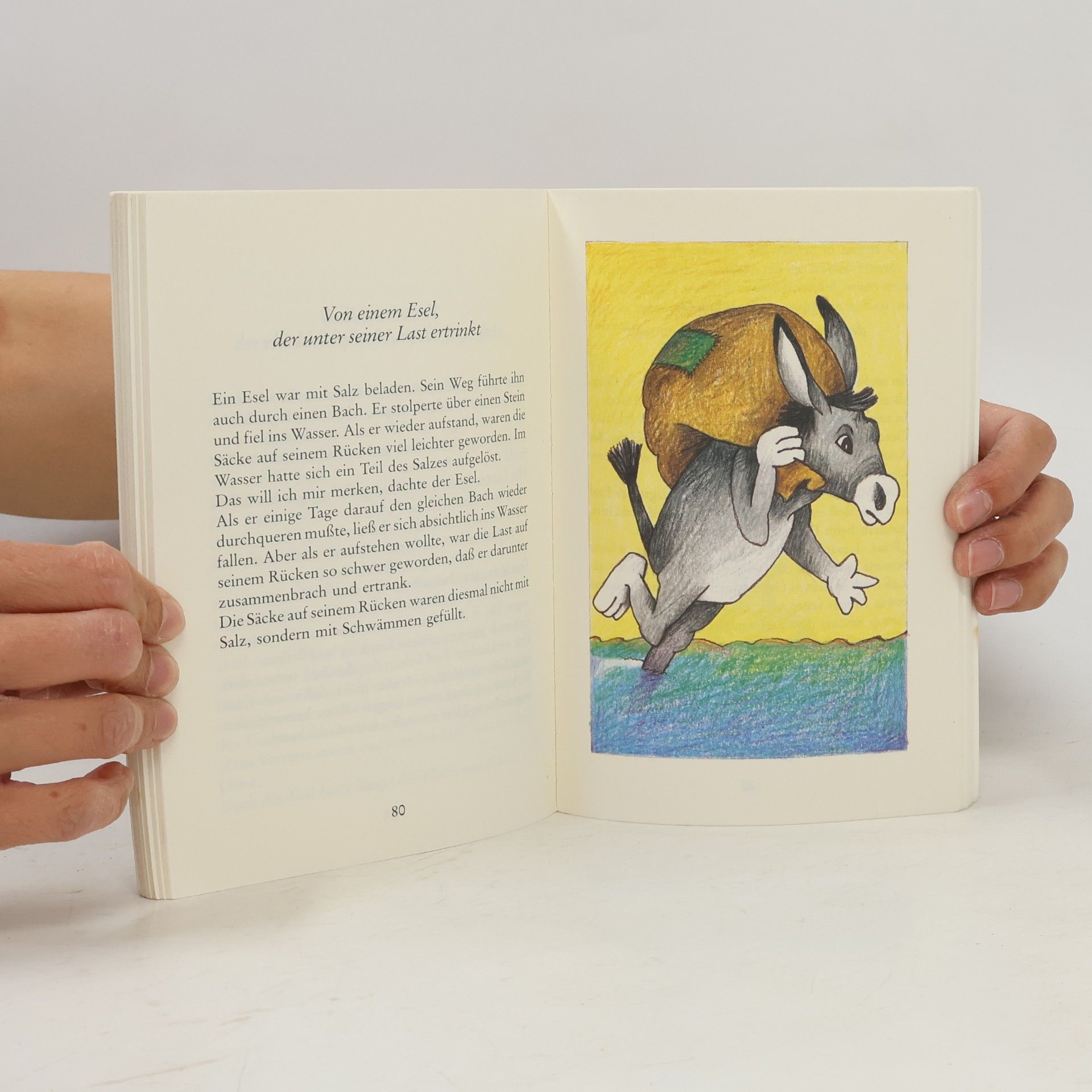 Mein erstes Vorlesebuch der schönsten Tierfabeln