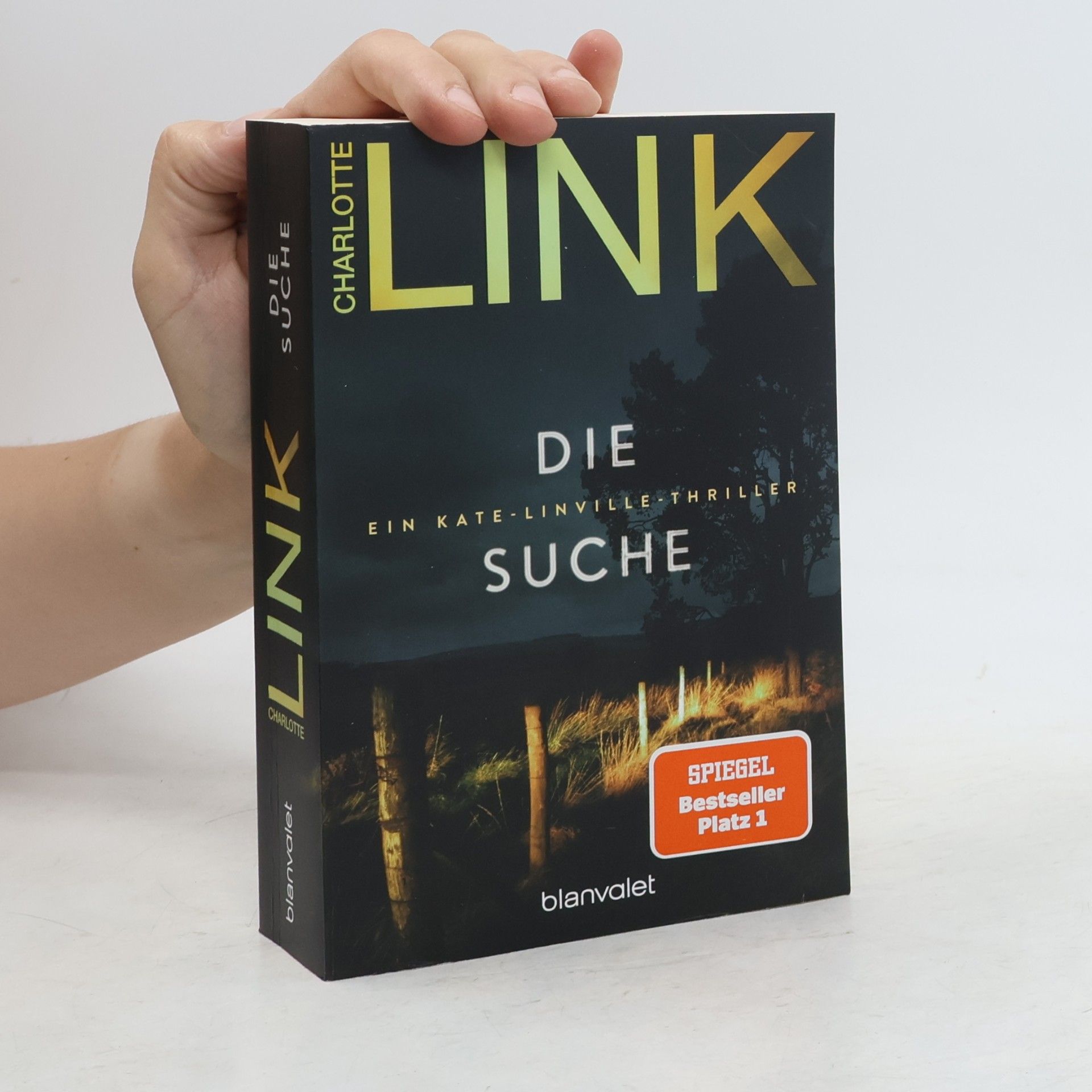 Kate-Linville-Thriller - 2: Die Suche