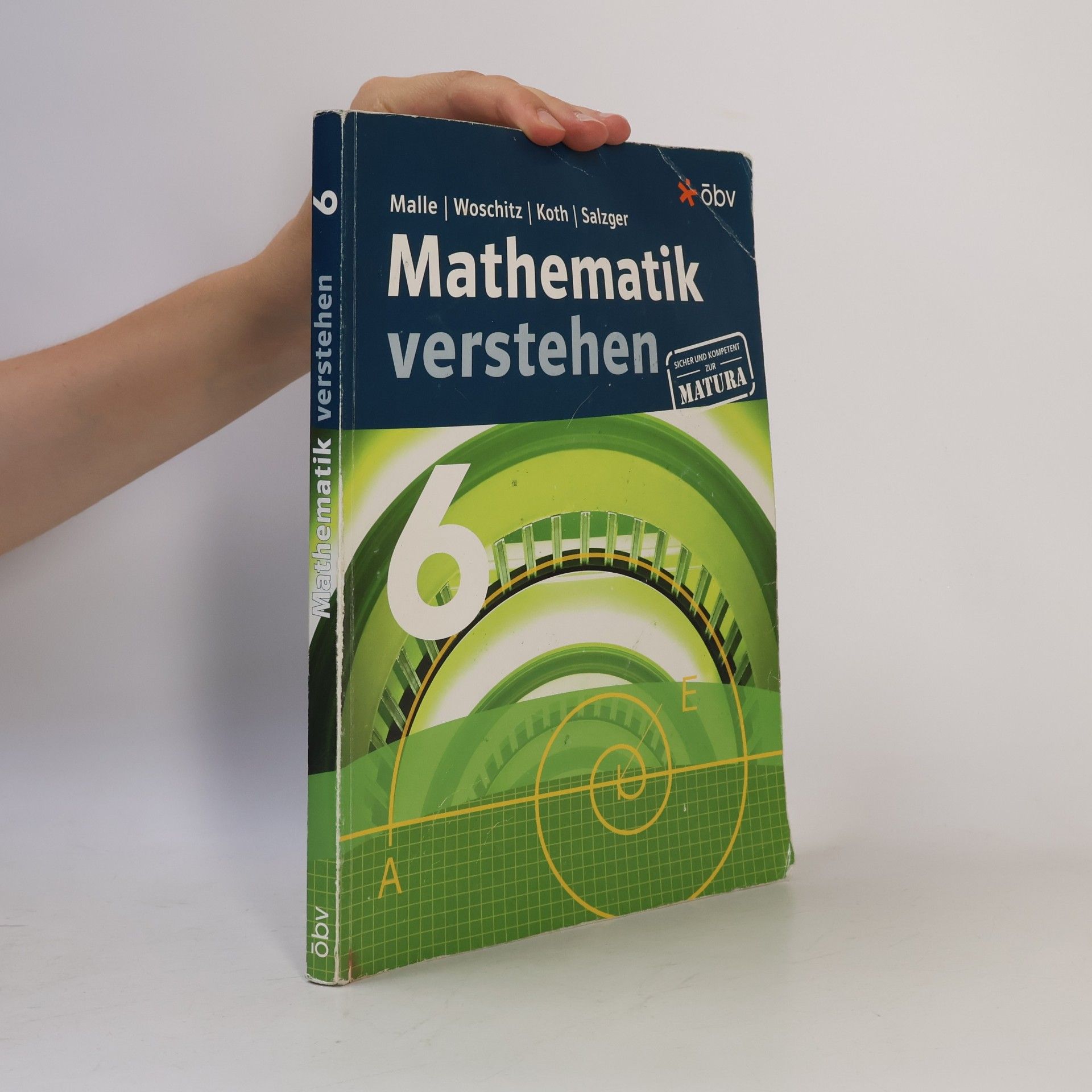 Autores varios Mathematik verstehen 6