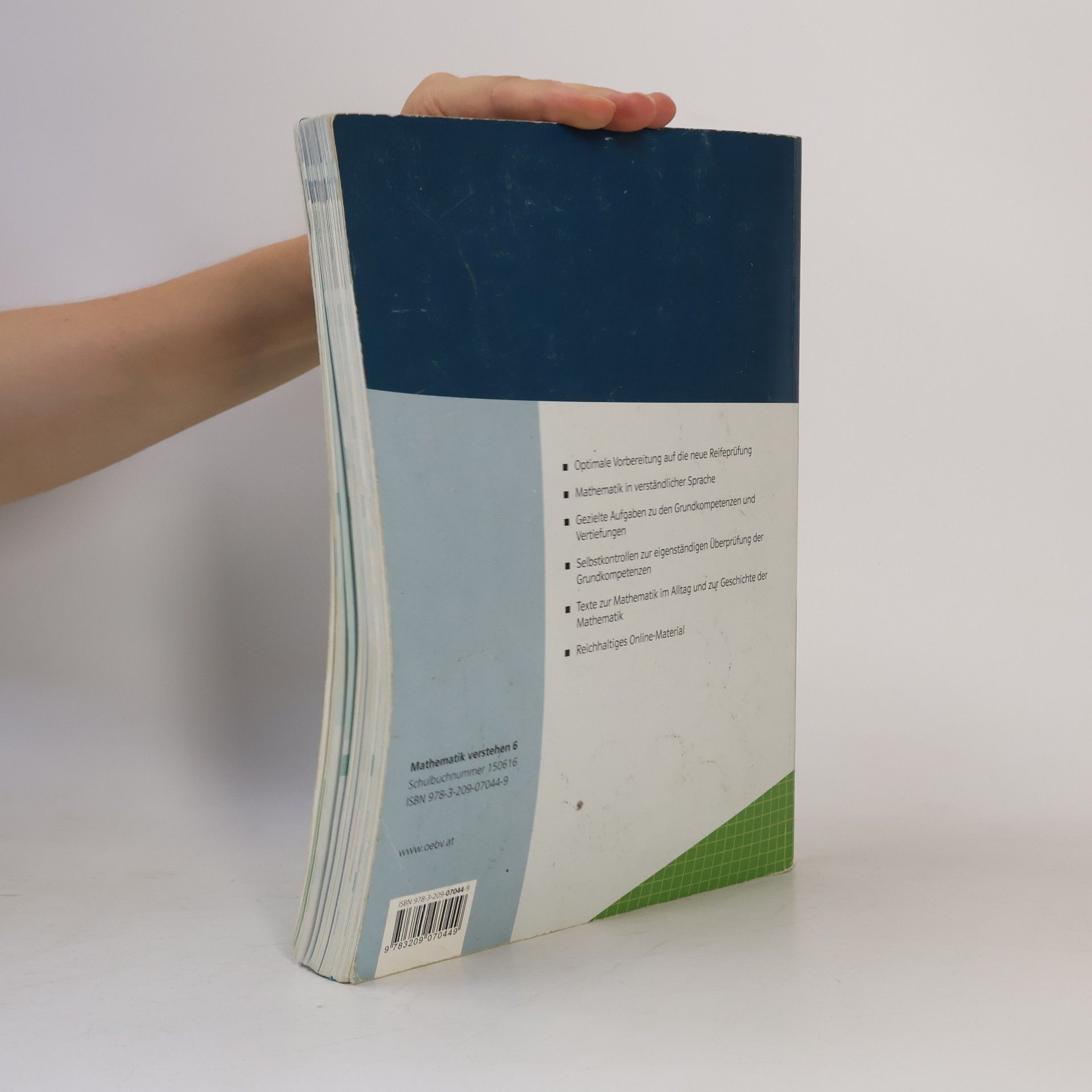 Autores varios Mathematik verstehen 6