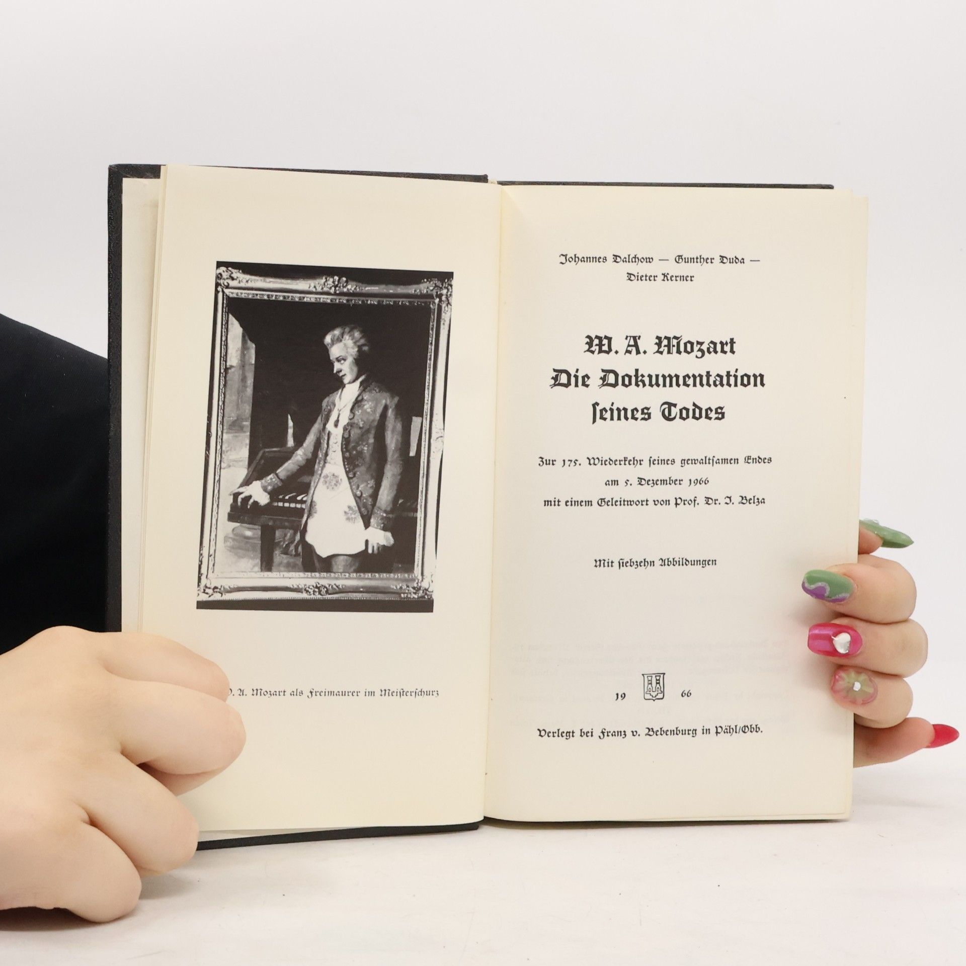 Johannes Dalchow W. A. Mozart. Die Dokumentation seines Todes