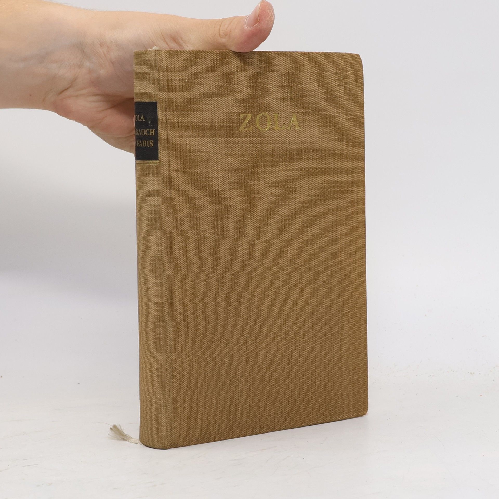 Émile Zola Der Bauch von Paris