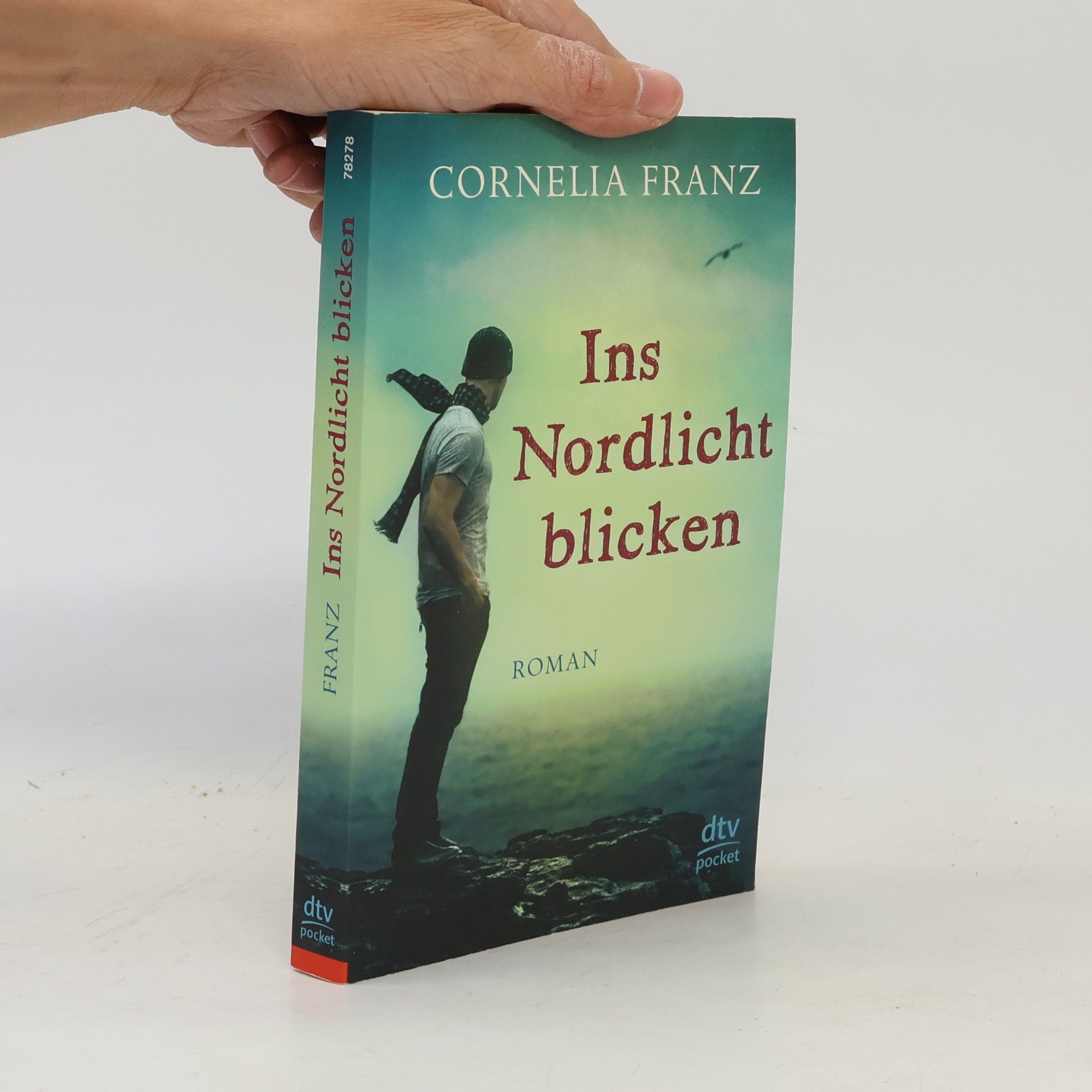 Cornelia Franz Ins Nordlicht blicken