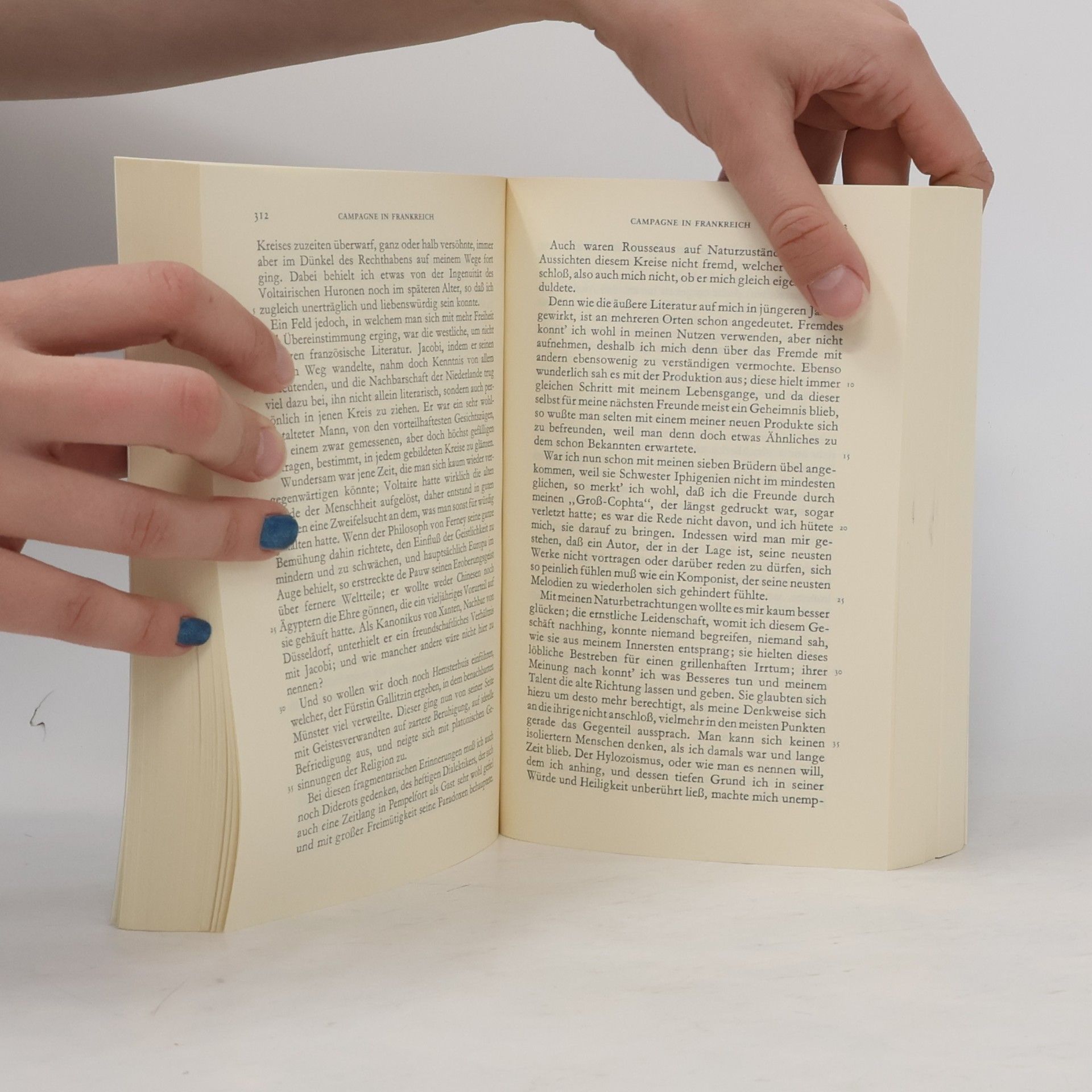 Johann Wolfgang von Goethe Werke. Band 10. Autobiographische Schriften II