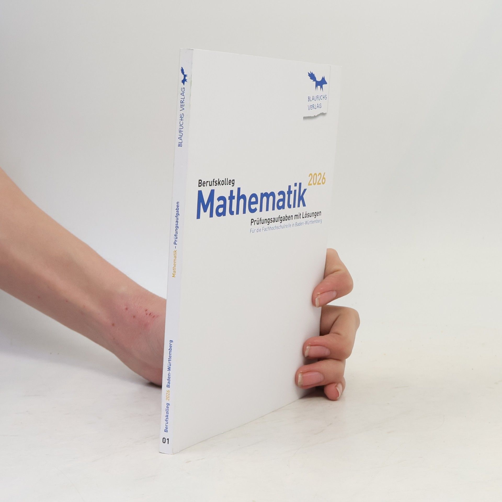 Autorenkollektiv Mathematik 2026 Prüfungsaufgaben mit Lösungen