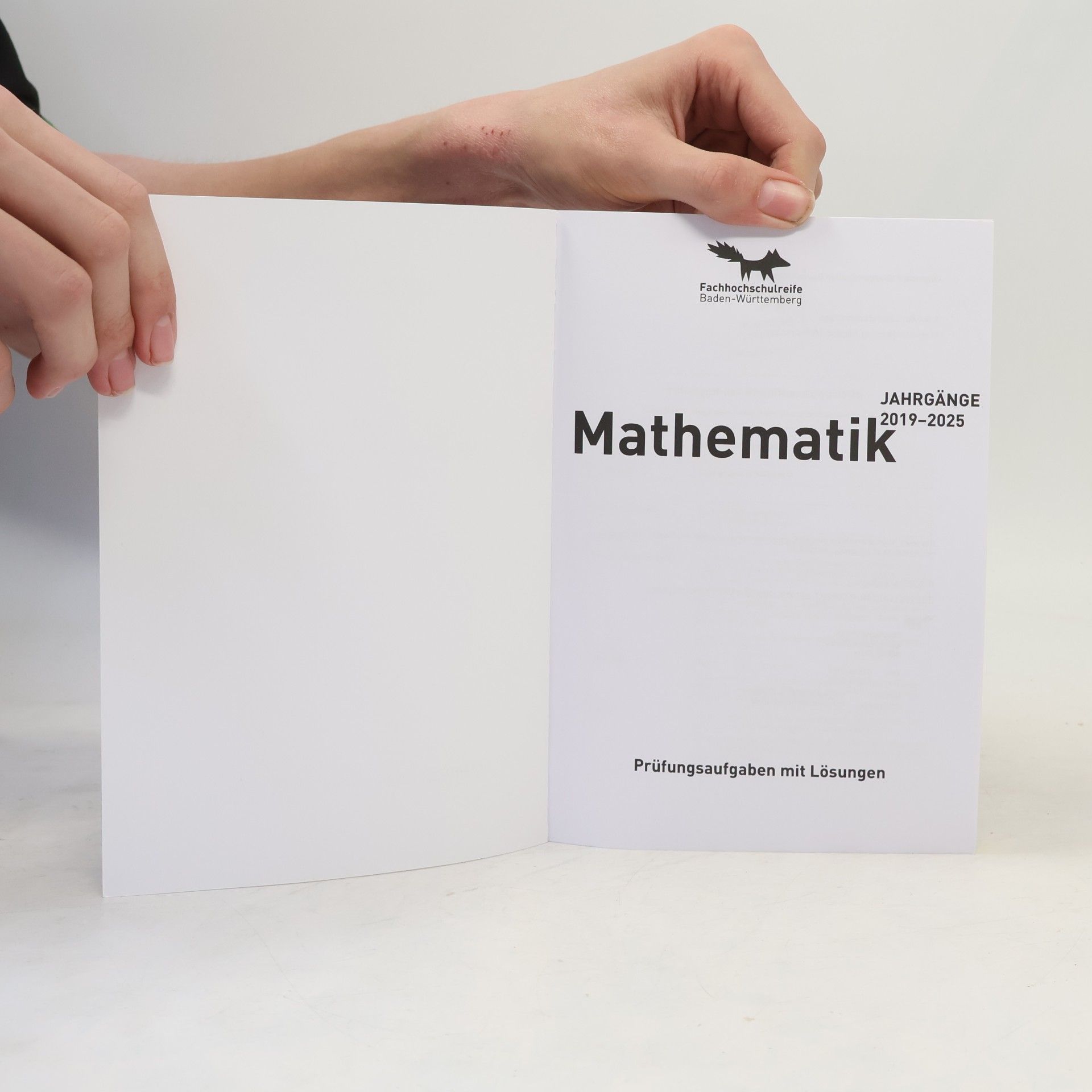 Autorenkollektiv Mathematik 2026 Prüfungsaufgaben mit Lösungen