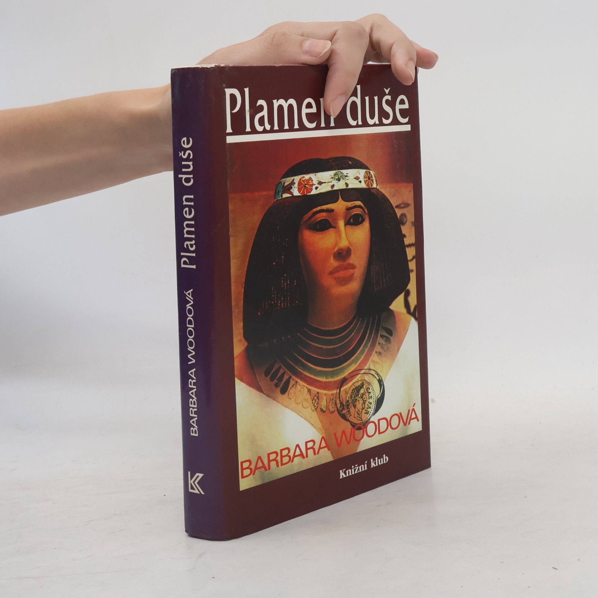 Barbara Wood Plamen duše