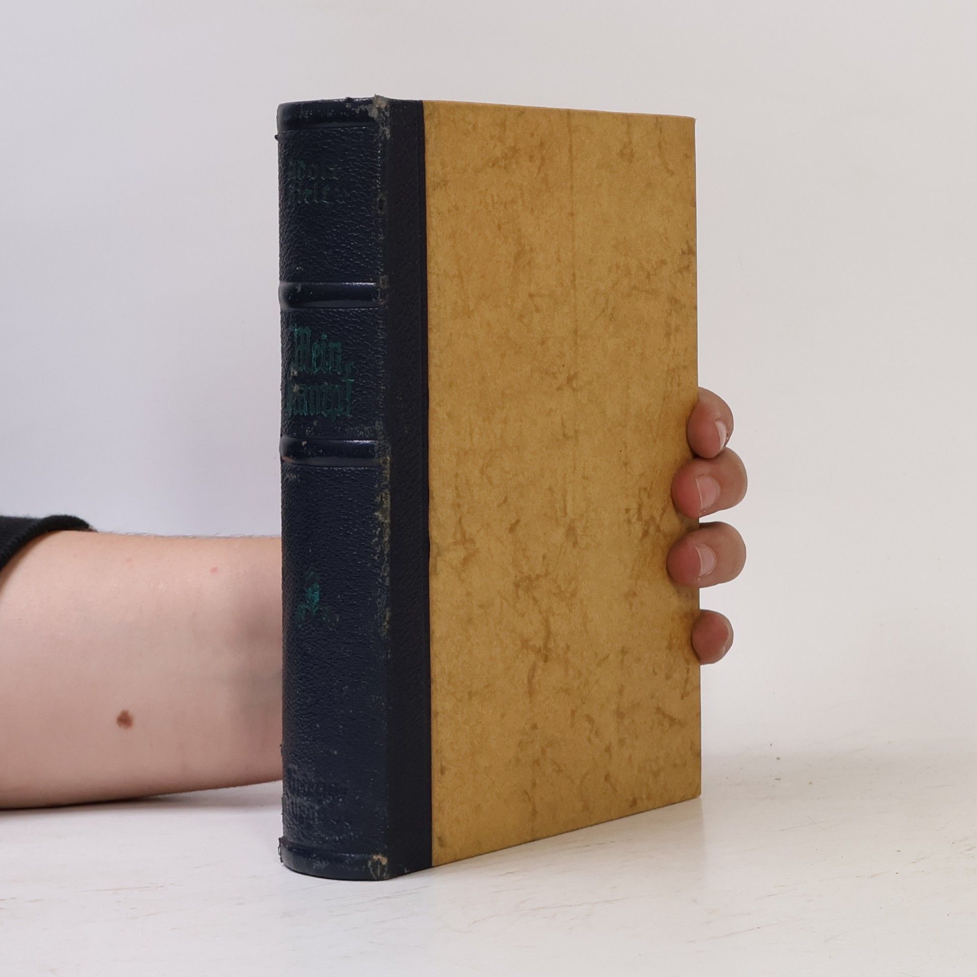 Adolf Hitler Mein Kampf