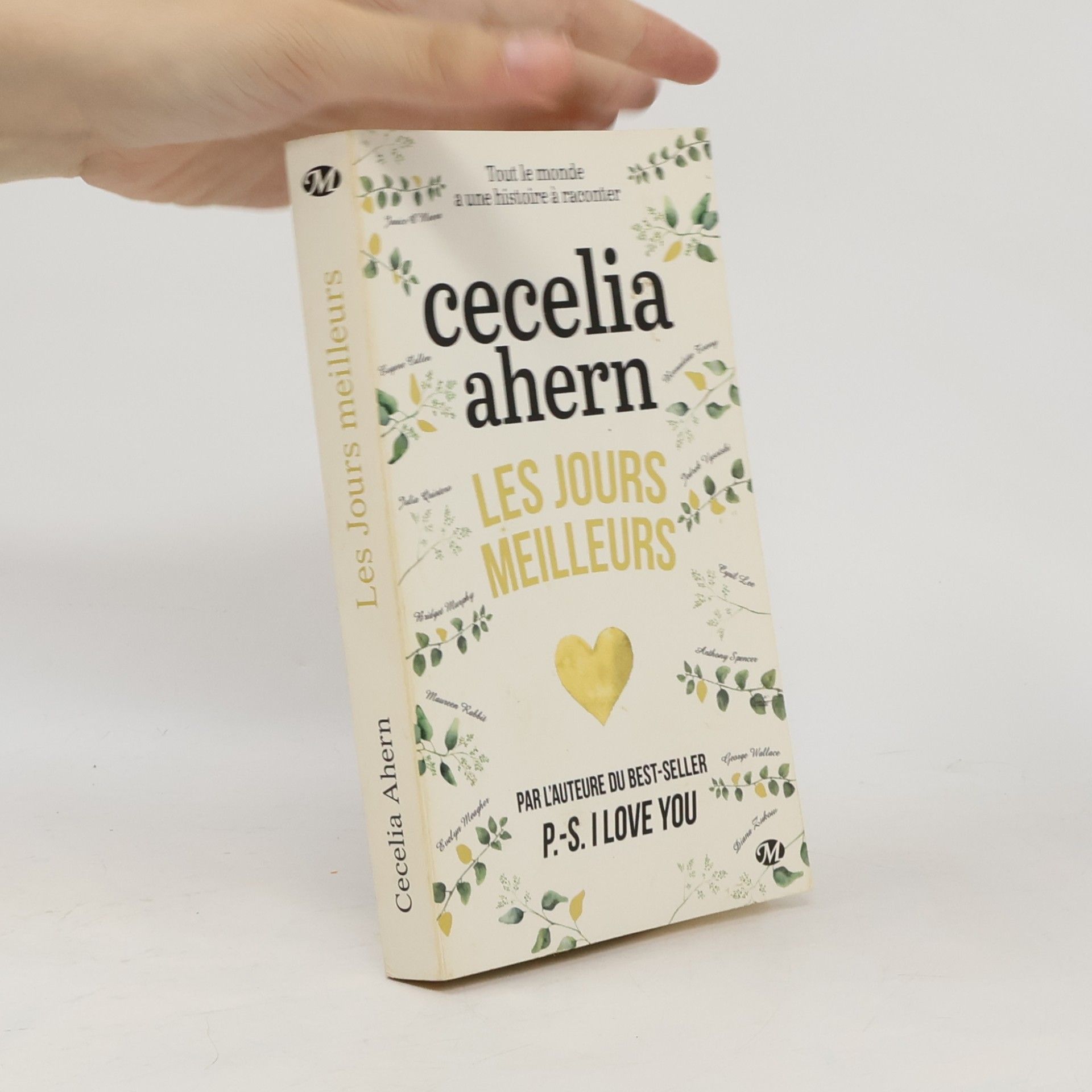 Cecelia Ahern Les jours meilleurs
