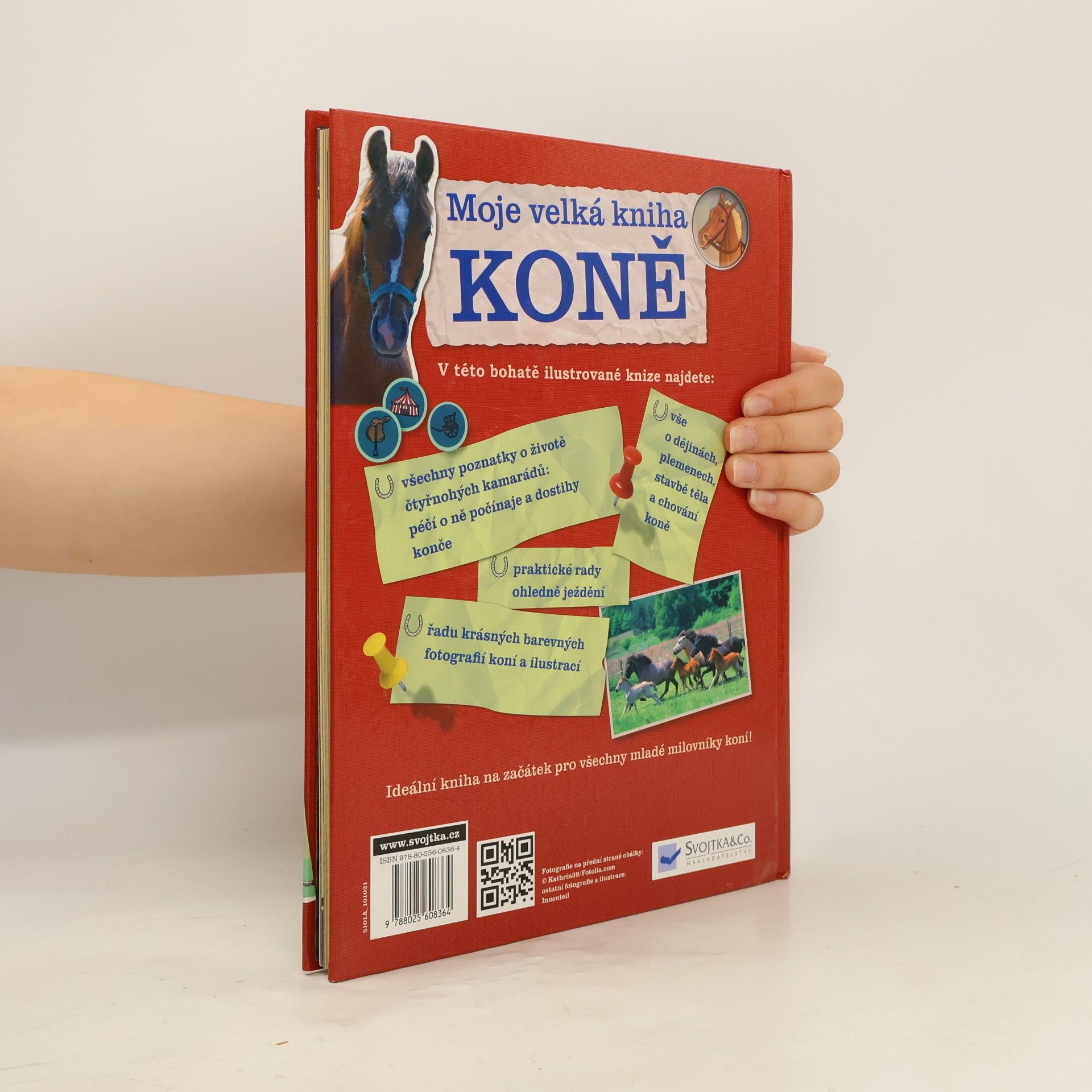 Giada Riondino Moje velká kniha: Koně