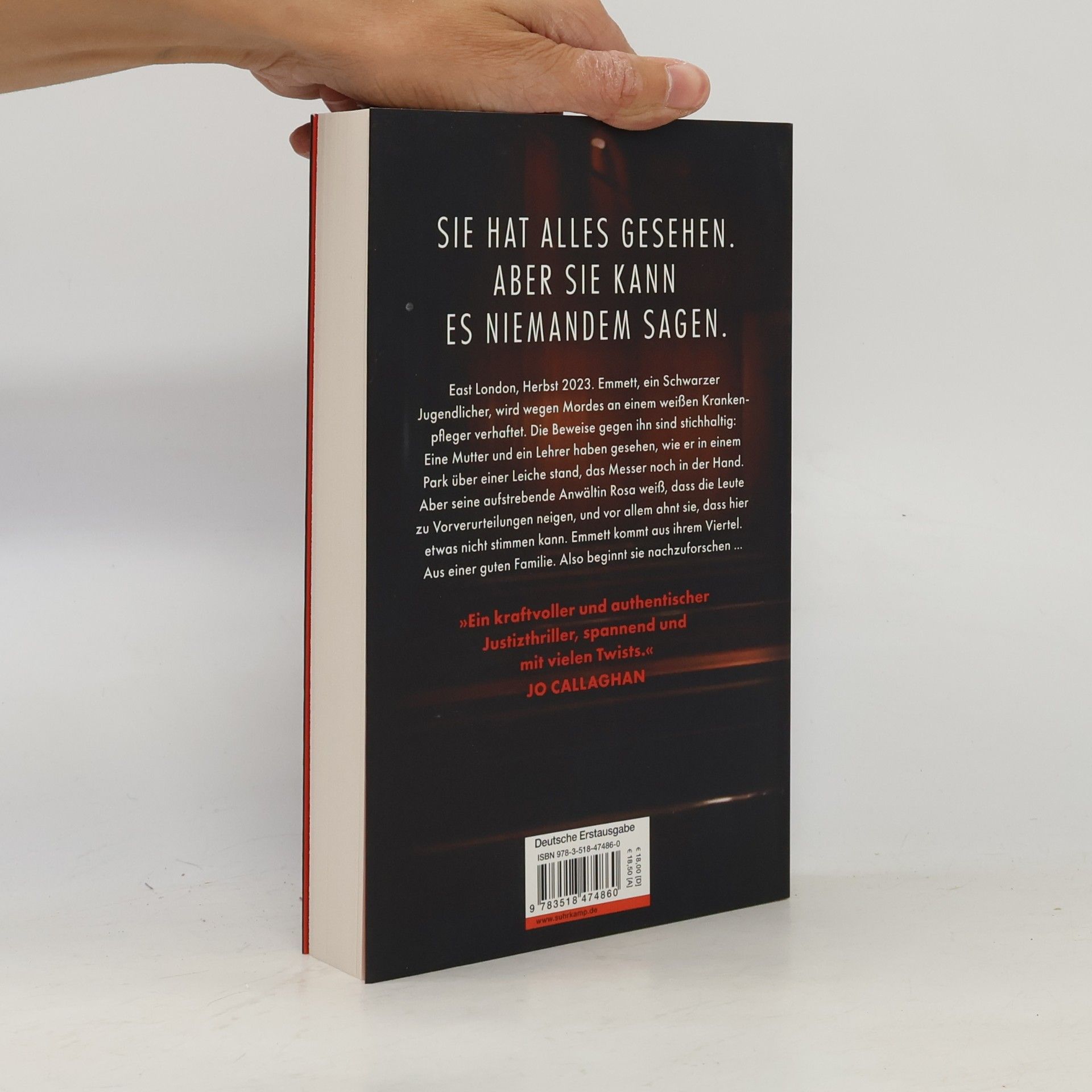 Alexandra Wilson Die feindliche Zeugin