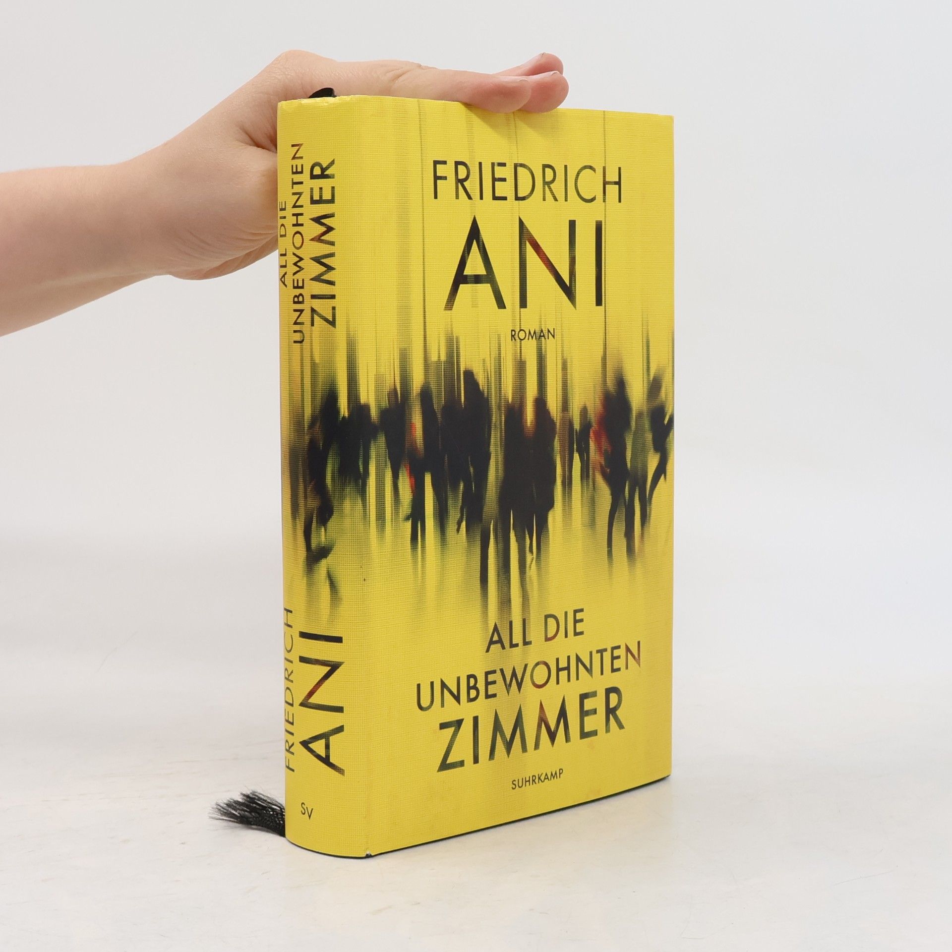Friedrich Ani All die unbewohnten Zimmer
