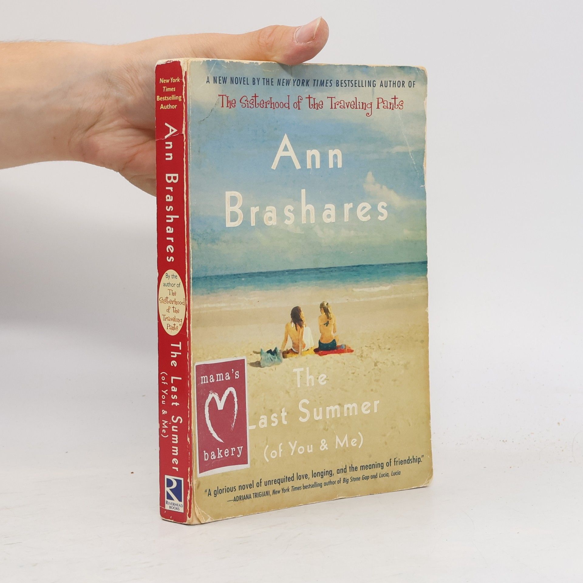 Ann Brashares The Last Summer (of You and Me)