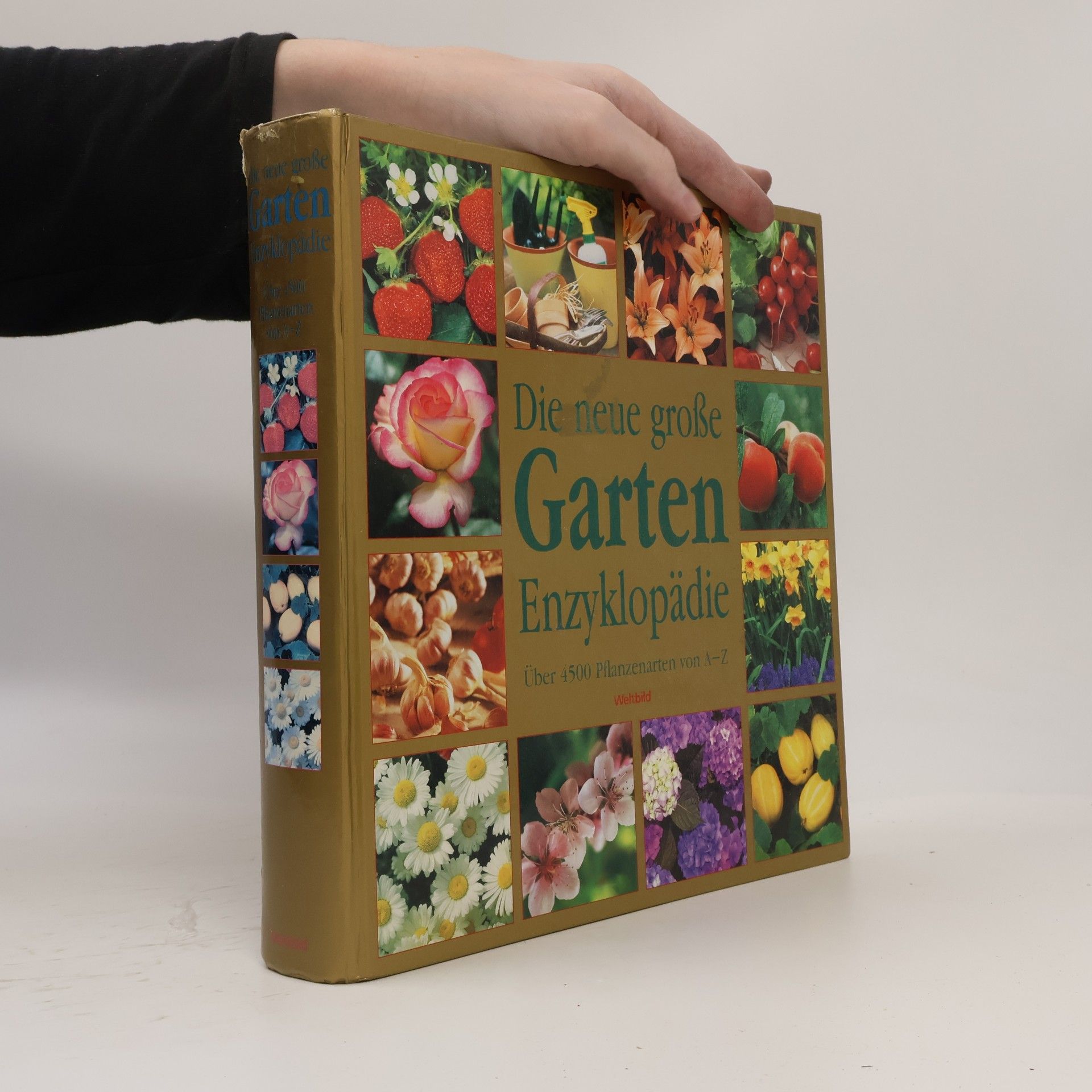 Rogers Juliet Und Kay Scarlet Die neue große Garten Enzyklopädie über 4500 Pflanzenarten von A - Z