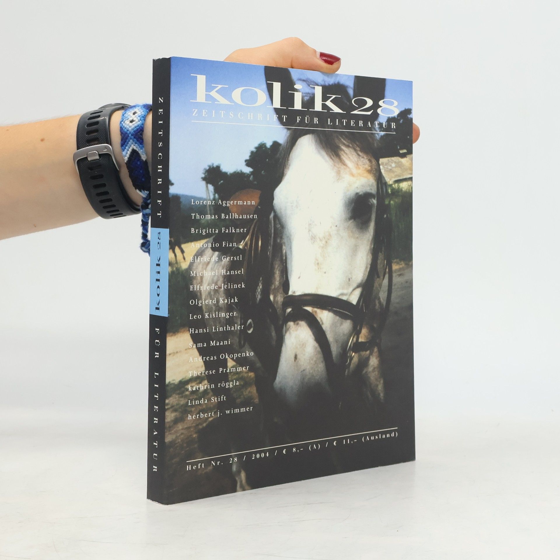 Autorenkollektiv Kolik 28: Zeitschrift für Literatur