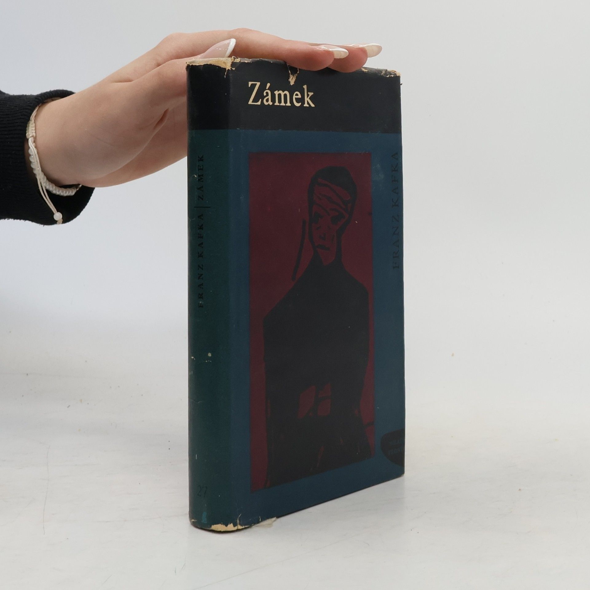 Franz Kafka Zámek