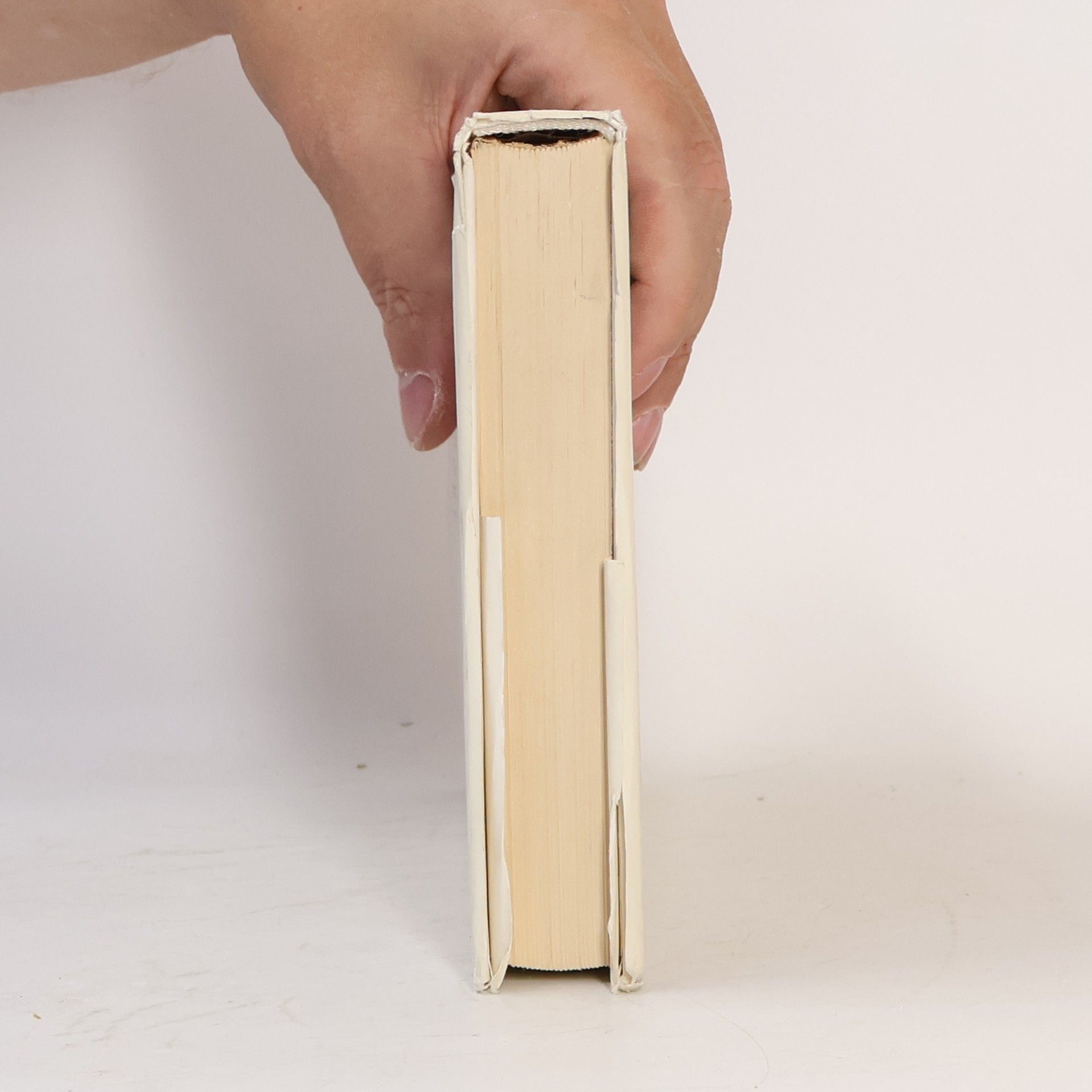 Roman Ingarden Umělecké dílo literární
