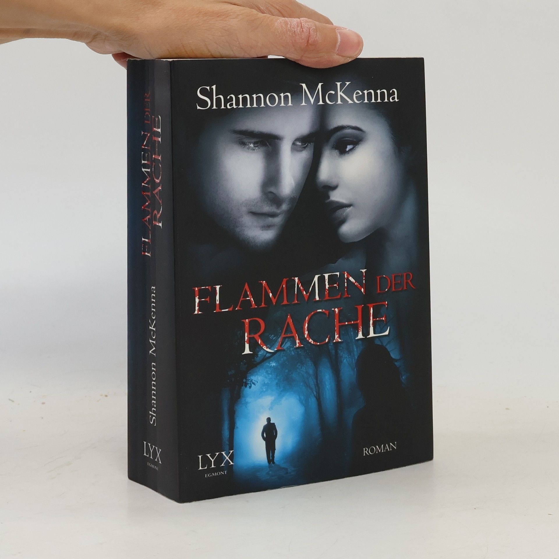 Shannon McKenna Flammen der Rache