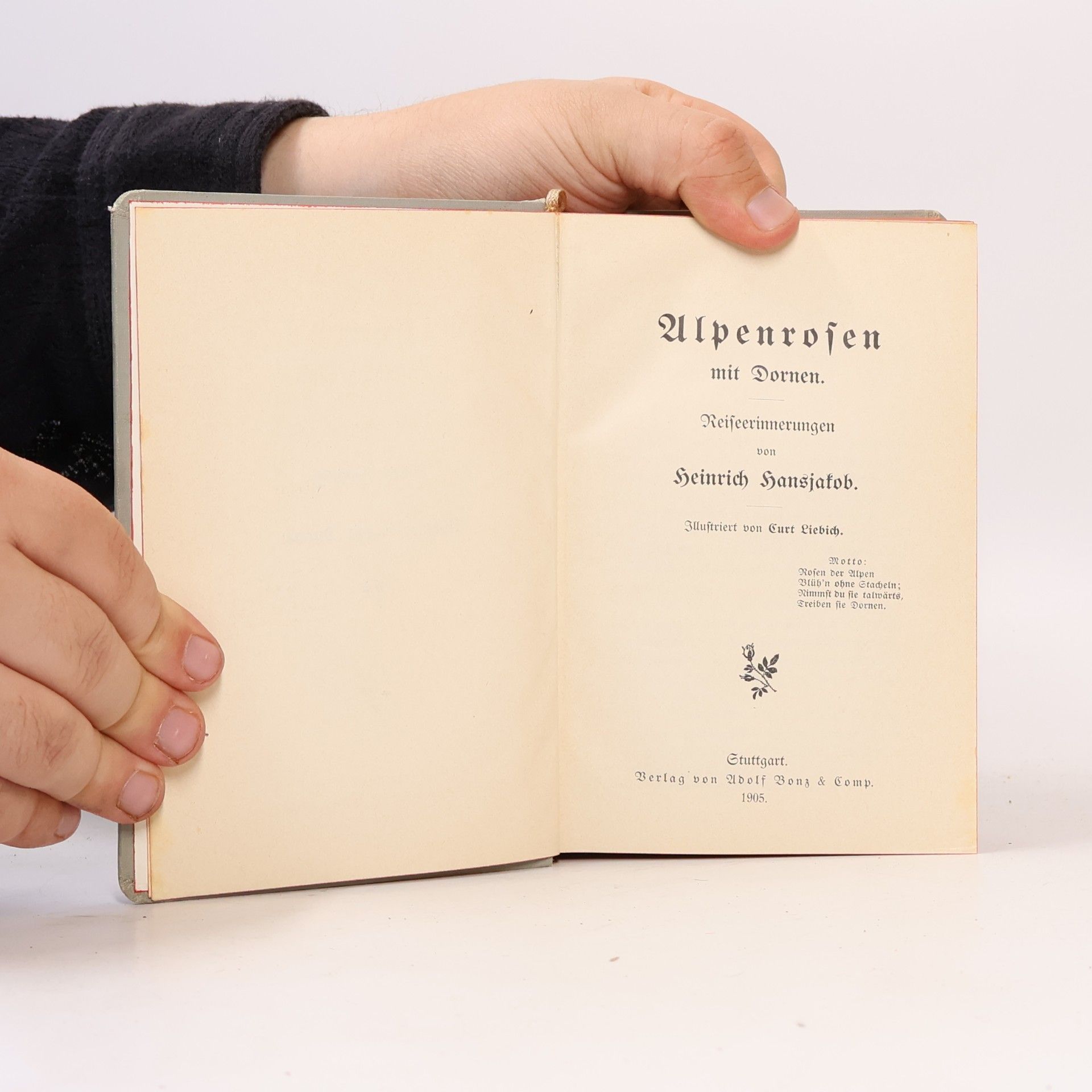 Heinrich Hansjakob Alpenrosen mit Dornen