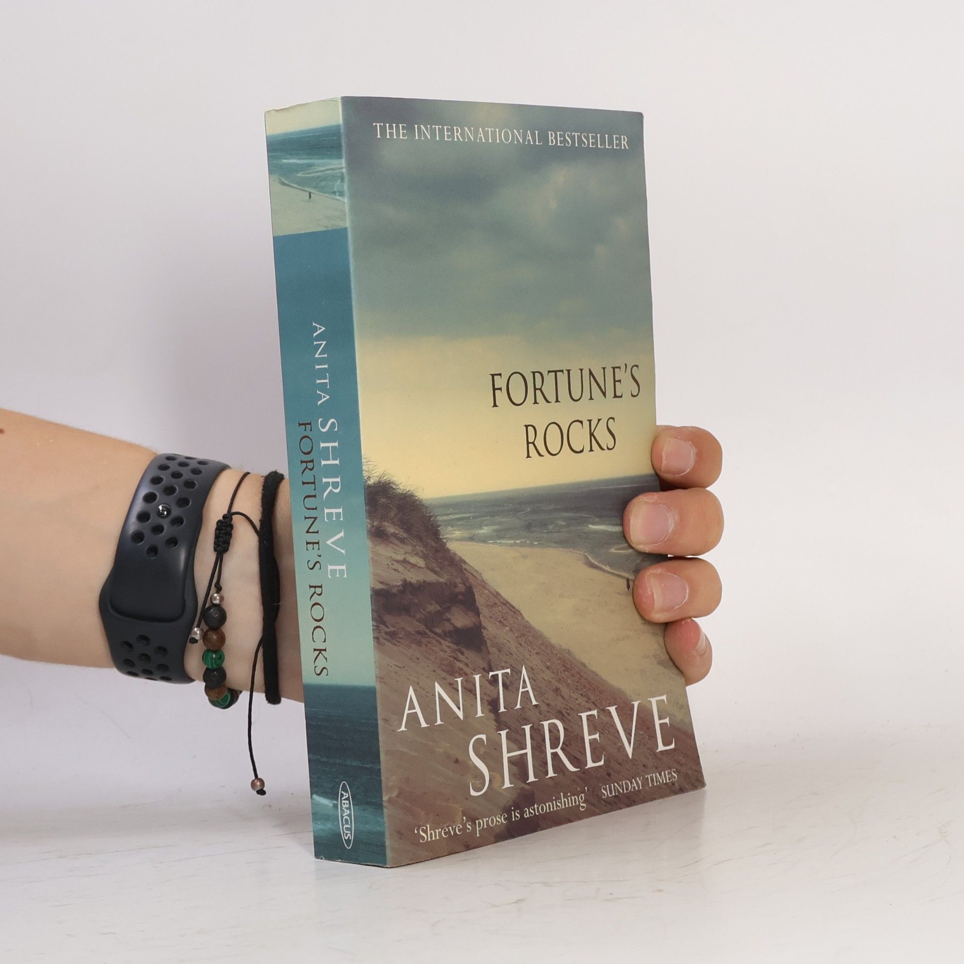 Anita Shreve Fortune's Rocks