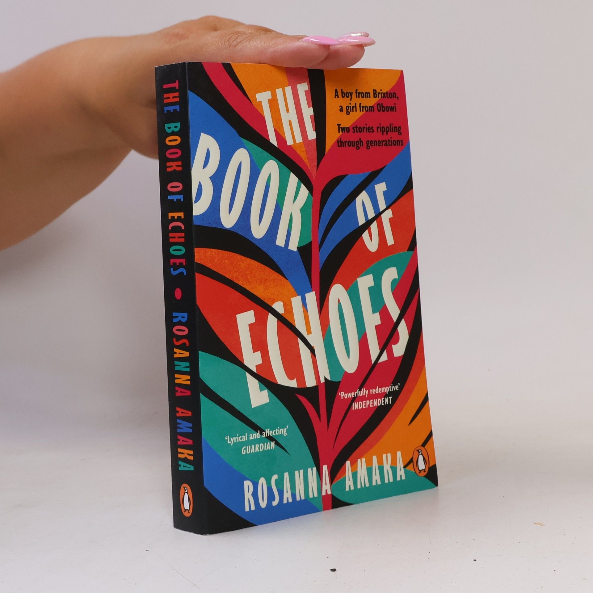Rosanna Amaka The Book of Echoes
