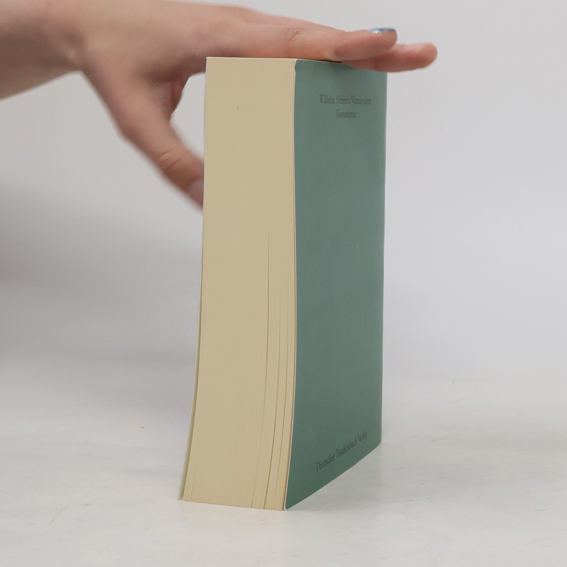 Johann Wolfgang von Goethe Werke. Band 8. Romane und Novellen III