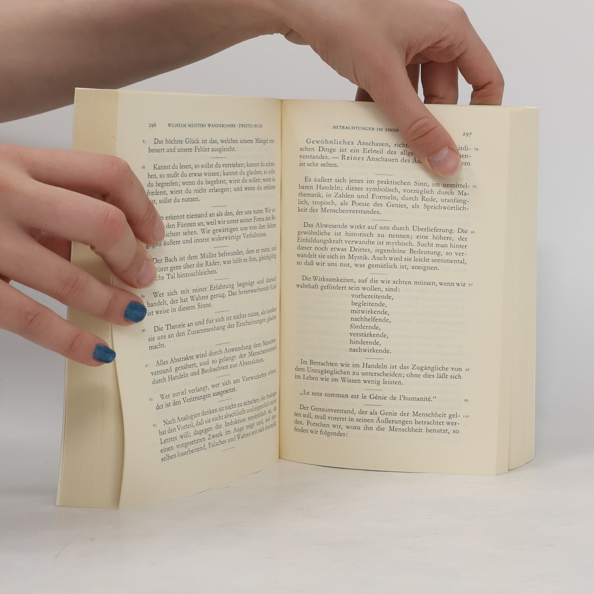 Johann Wolfgang von Goethe Werke. Band 8. Romane und Novellen III