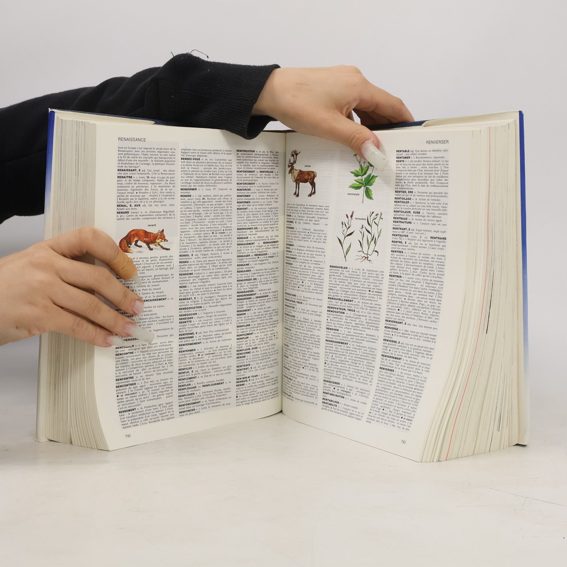 Petit Larousse en couleurs