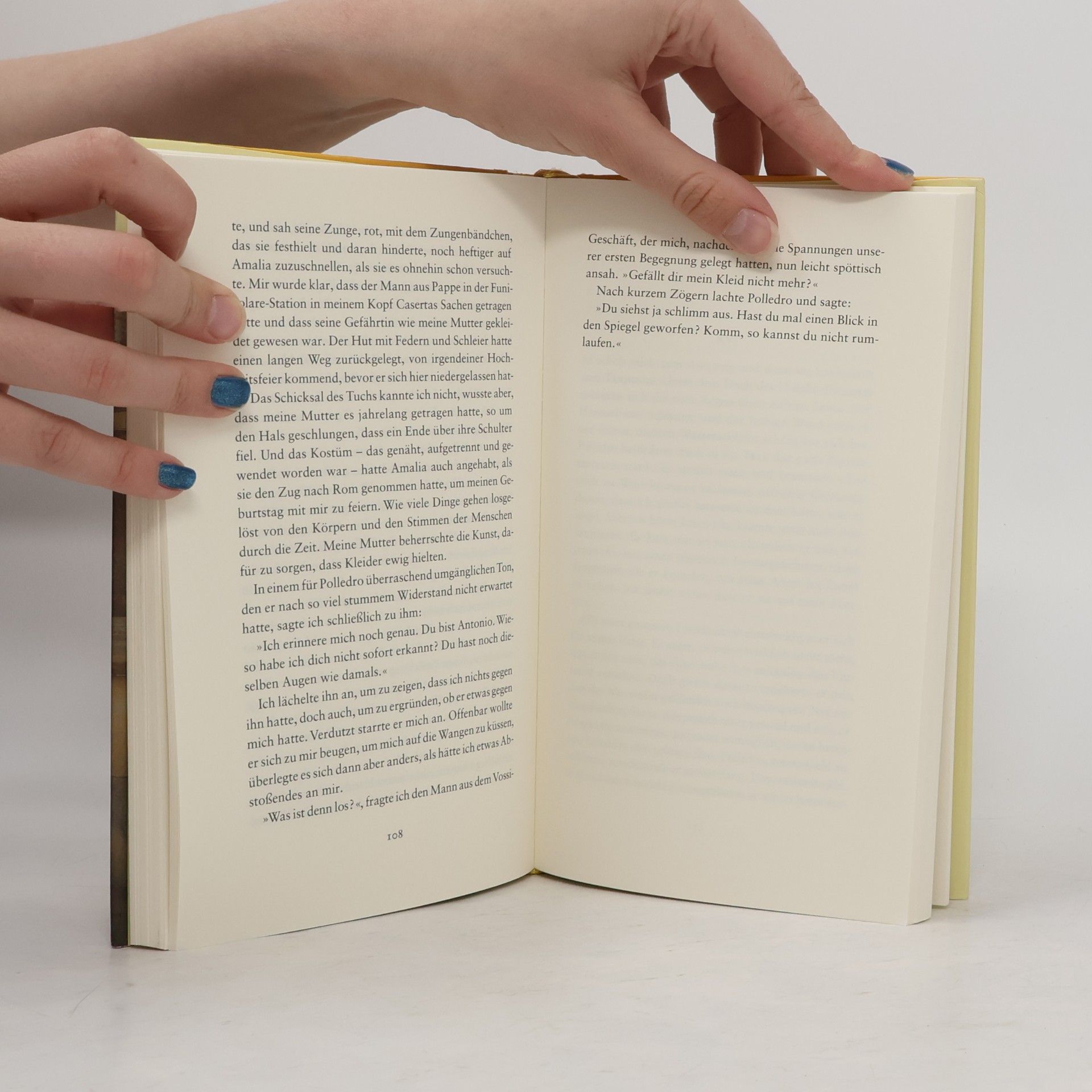 Elena Ferrante Lästige Liebe