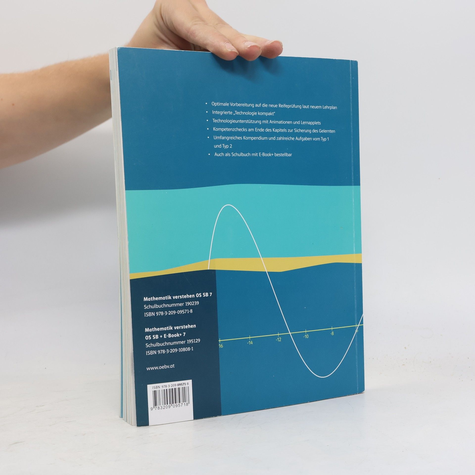 Günther Malle Mathematik verstehen 7