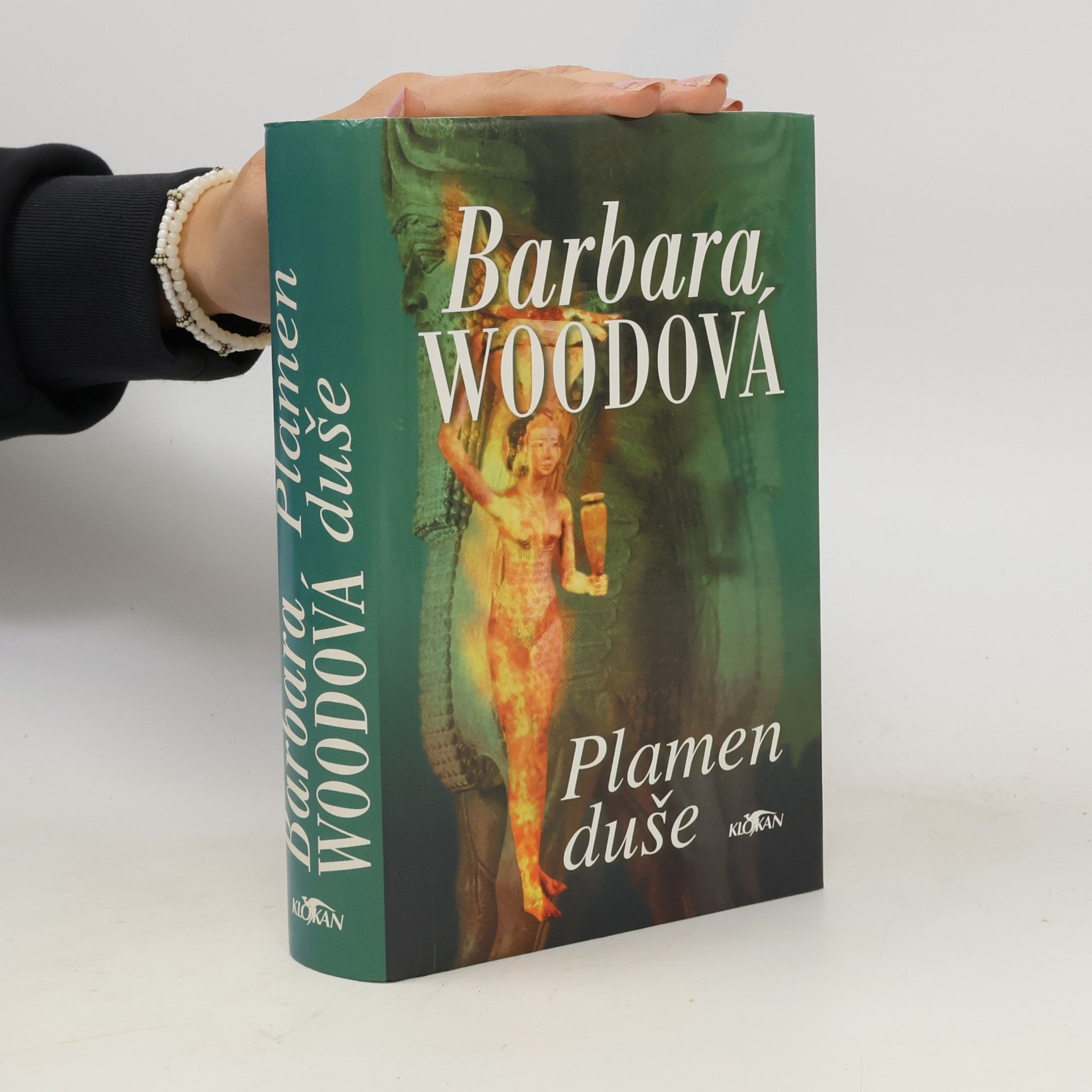Barbara Wood Plamen duše