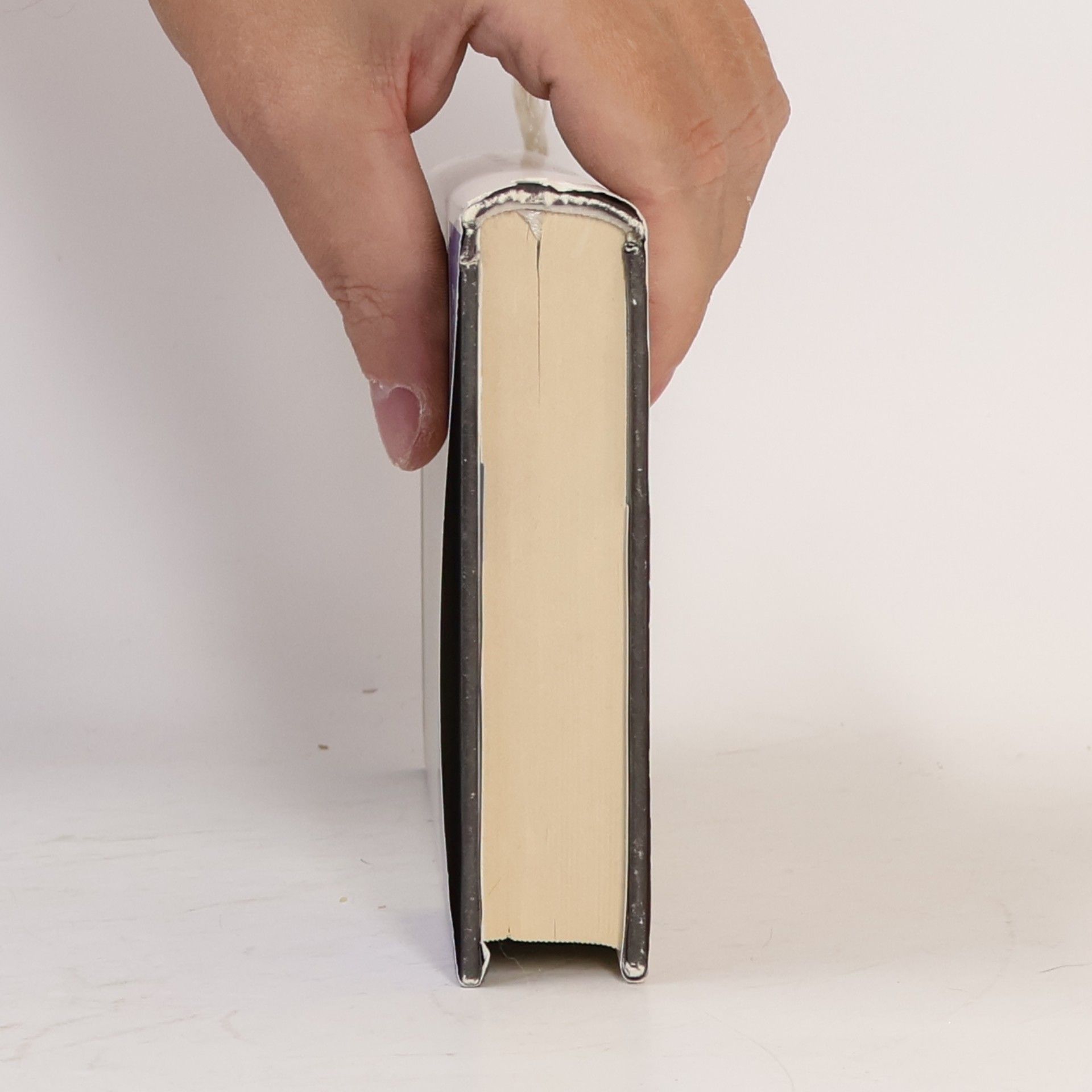 Josef Vohryzek Literární kritiky