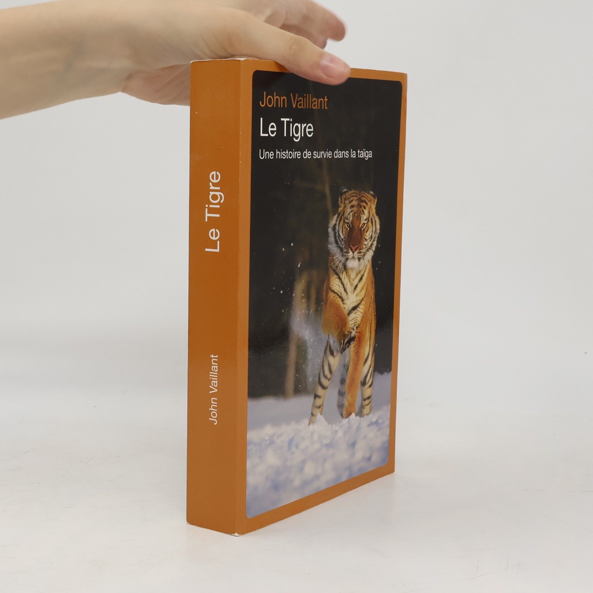 Le tigre, une histoire de survie dans la taiga