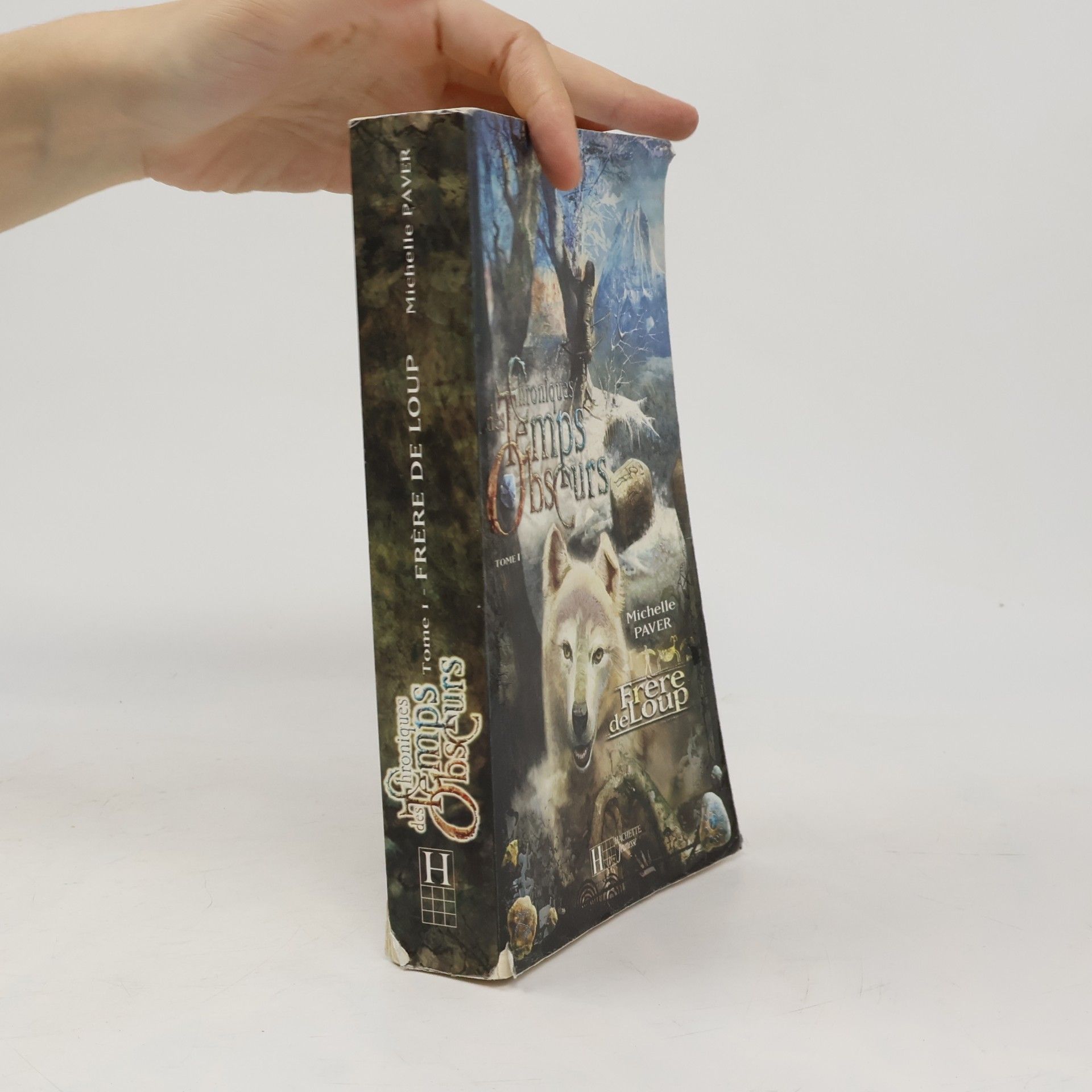 Michelle Paver The Chroniques Temps Obscurs: Tome 1: Frere de Loup