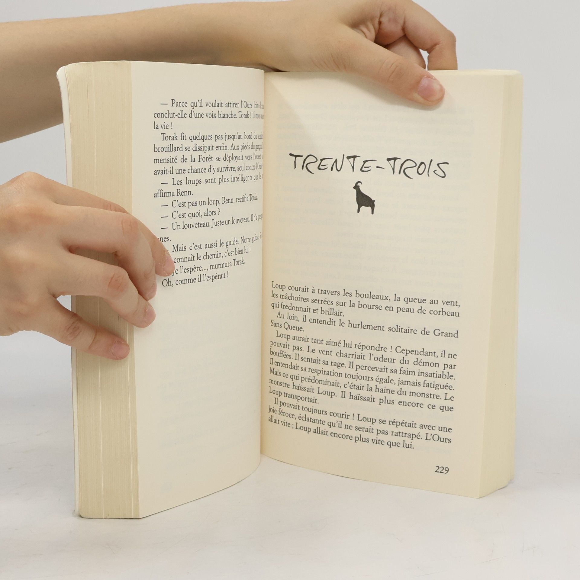 Michelle Paver The Chroniques Temps Obscurs: Tome 1: Frere de Loup