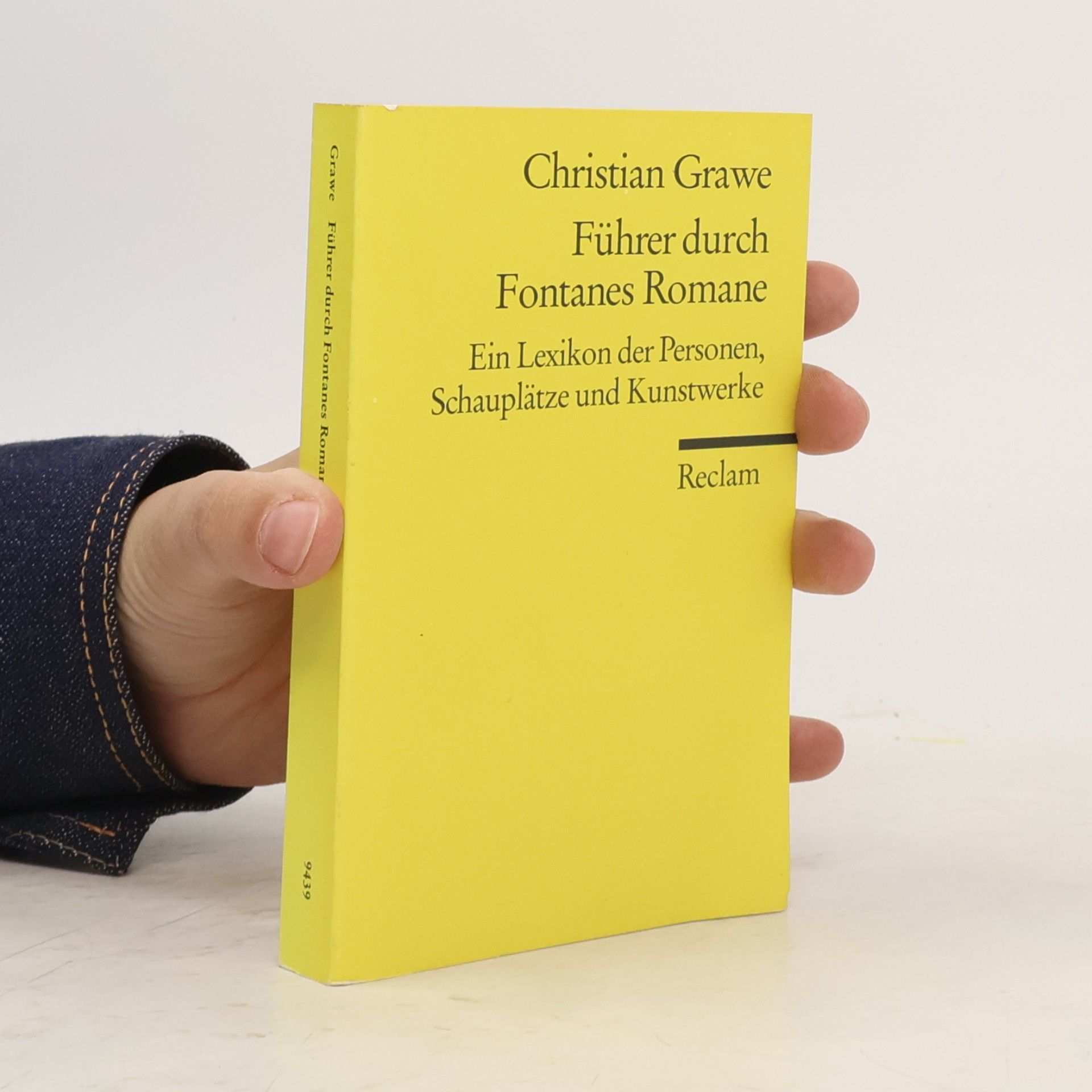 Christian Grawe Führer durch Fontanes Romane