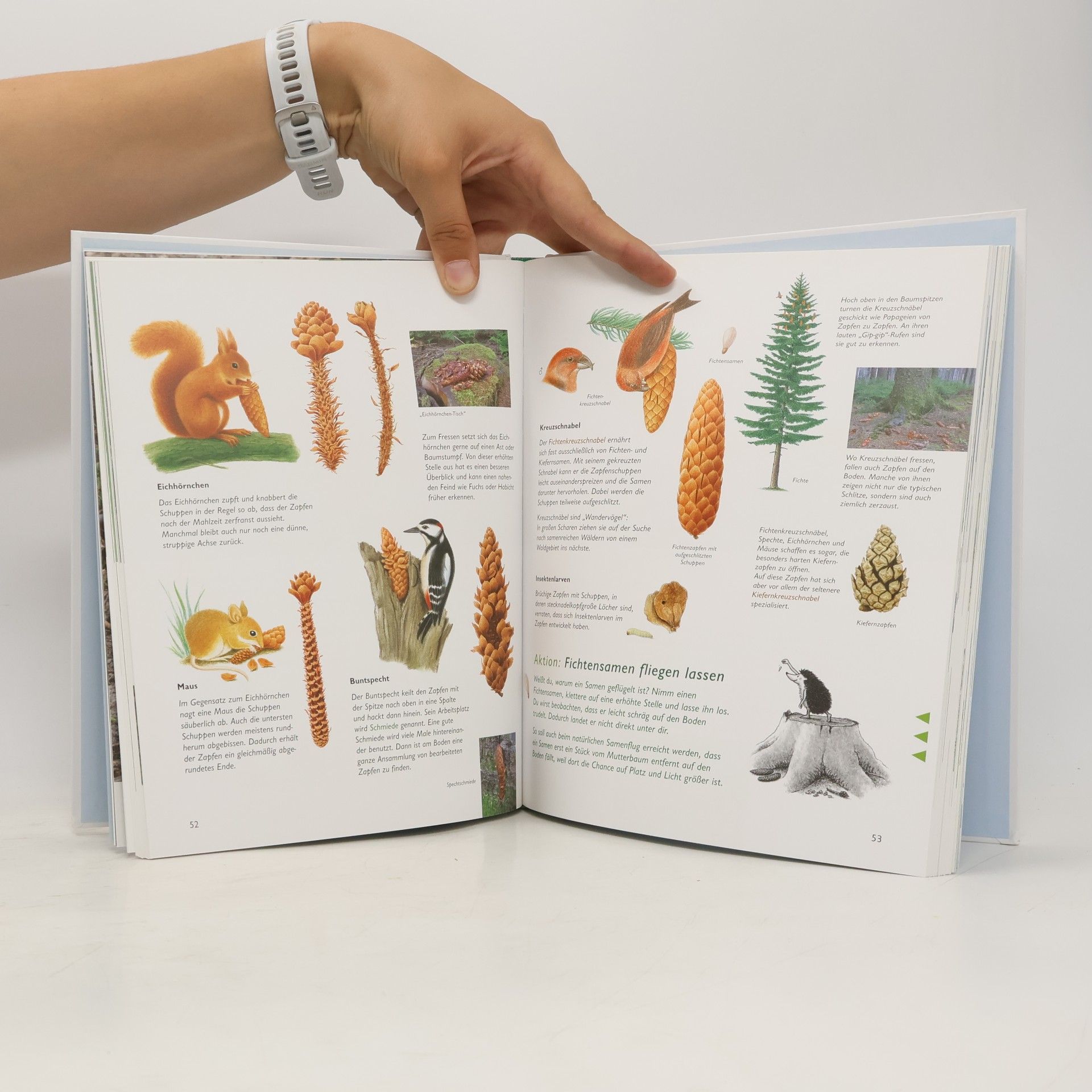 Ursula Wawra Wawra's Naturbuch