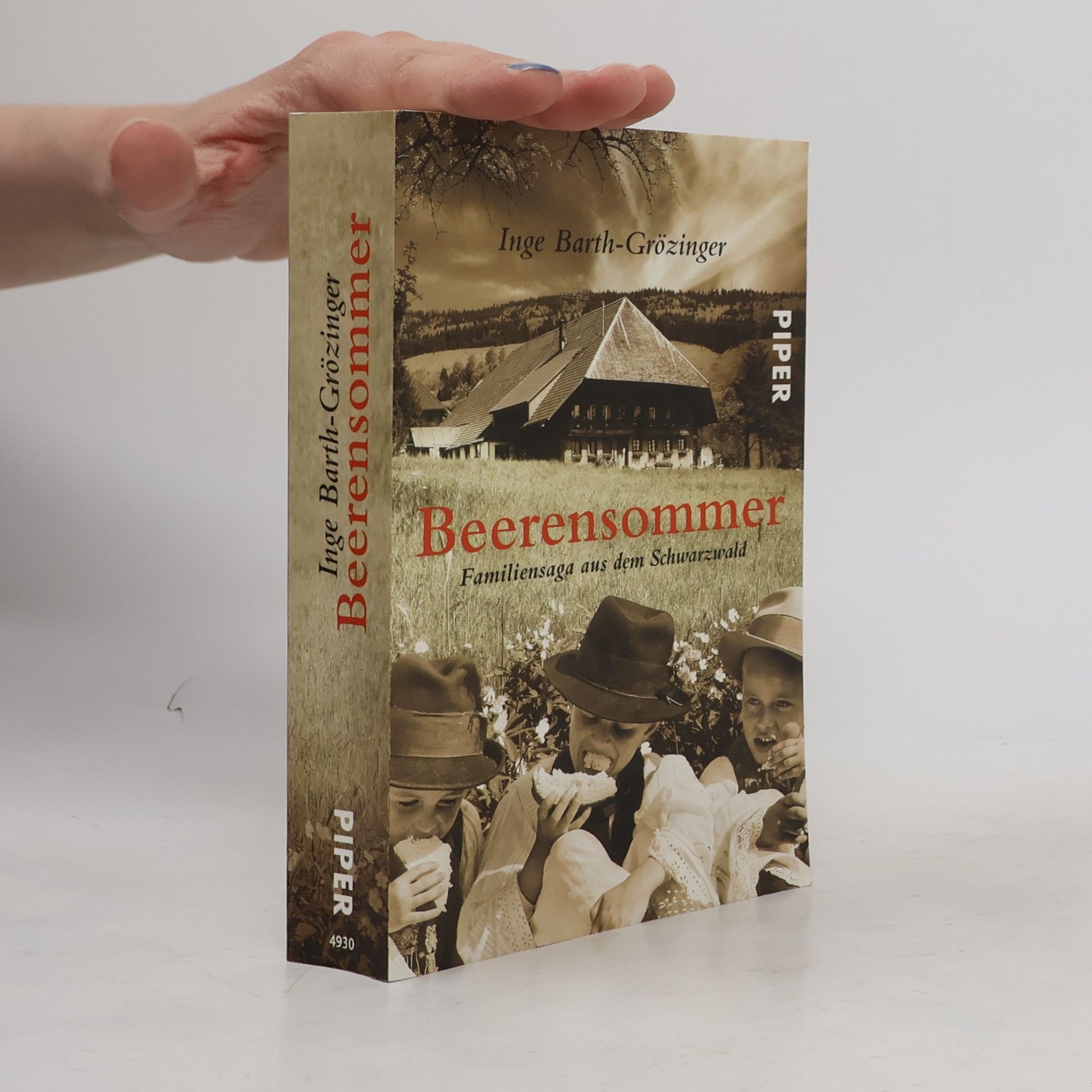 Inge Barth-Grözinger Beerensommer