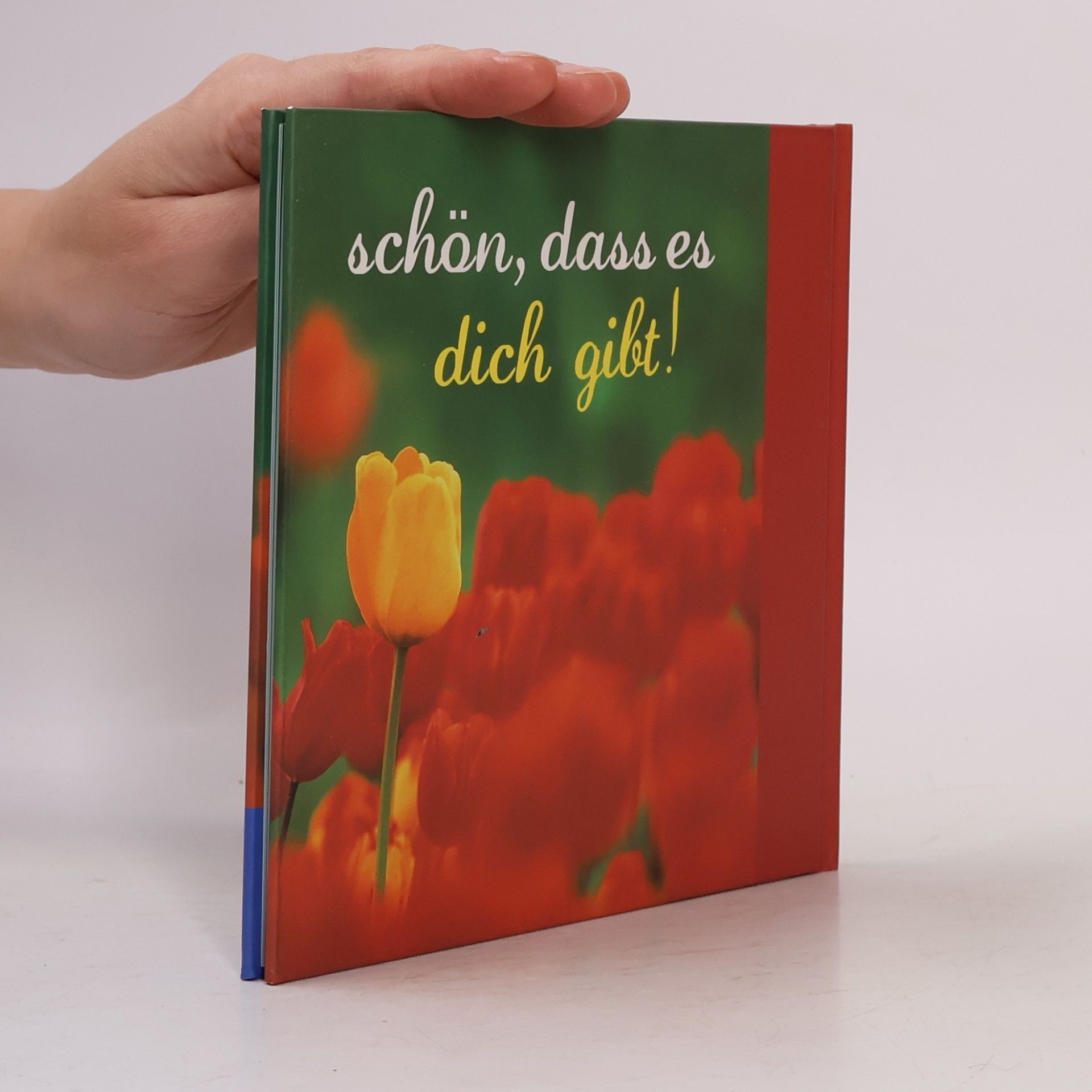Vera Stein Heute habe ich an dich gedacht