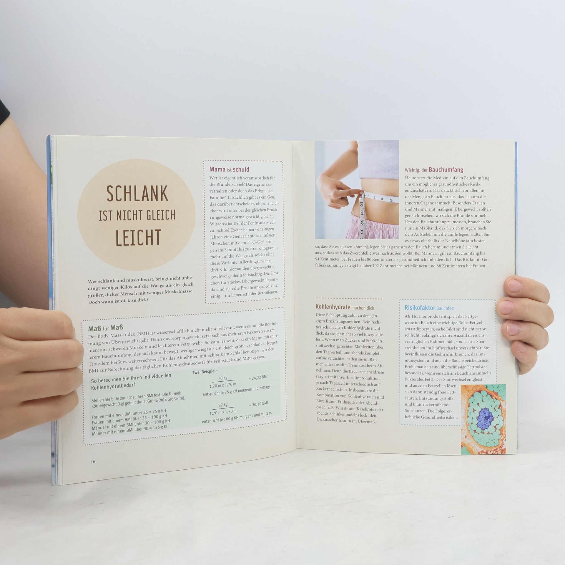 Andrea-Anna Cavelius Schlank im Schlaf - das Kochbuch