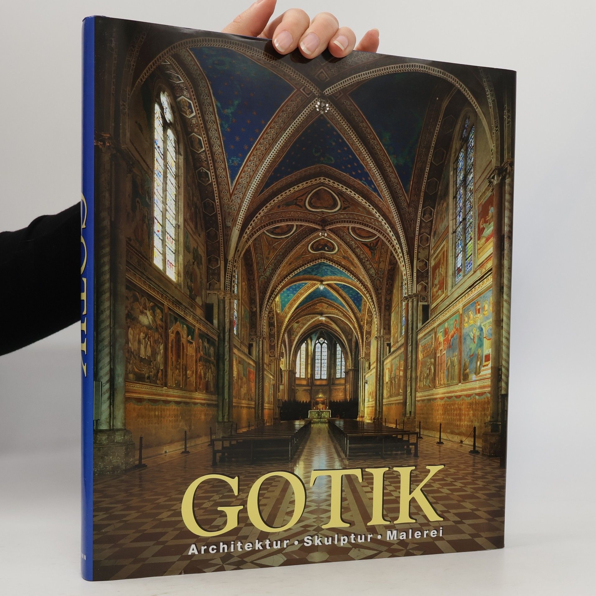 Rolf Toman Gotik. Architektur - Skulptur - Malerei