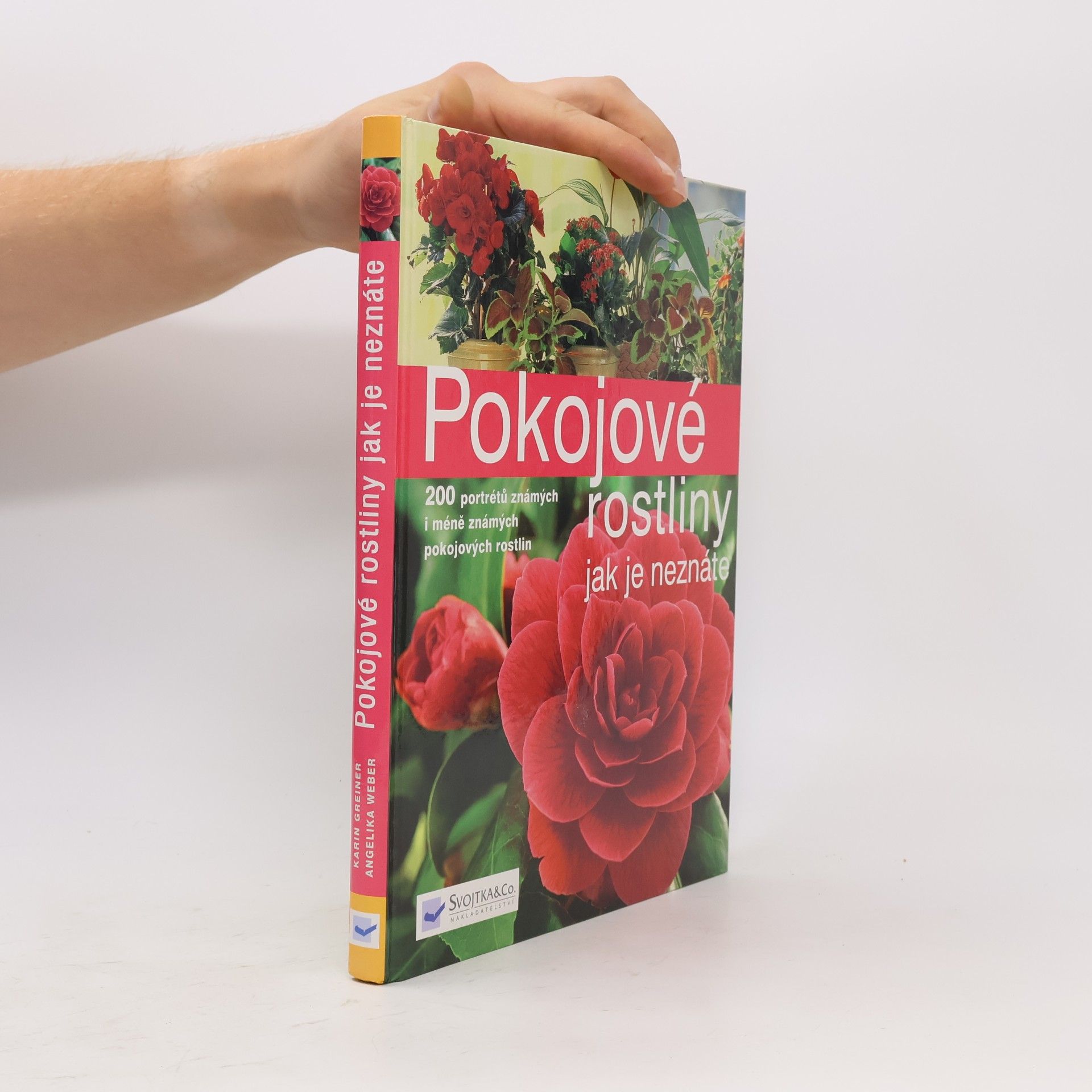Annette Hempfling Pokojové rostliny jak je neznáte