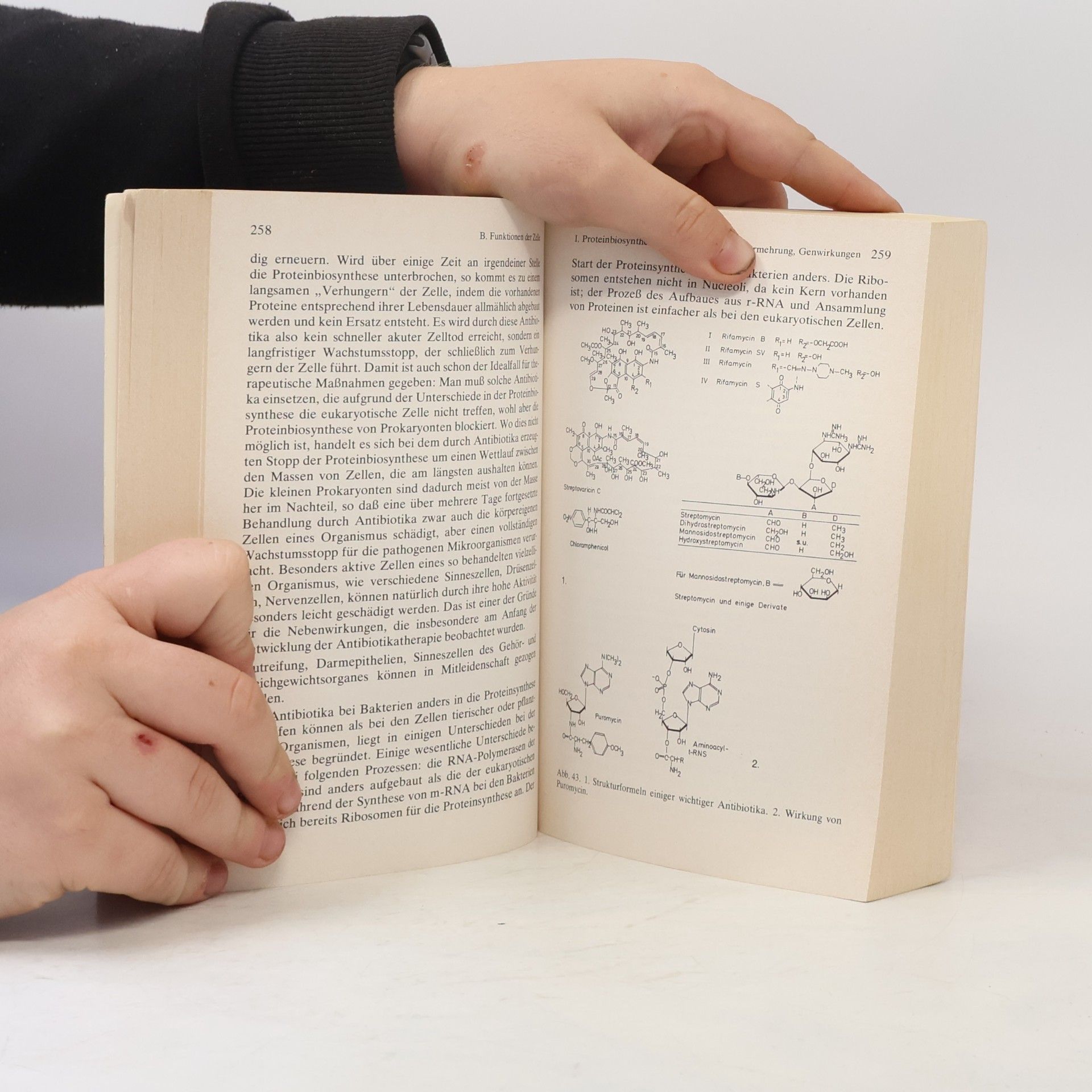 Hans Ulrich Koecke Allgemeine Biologie