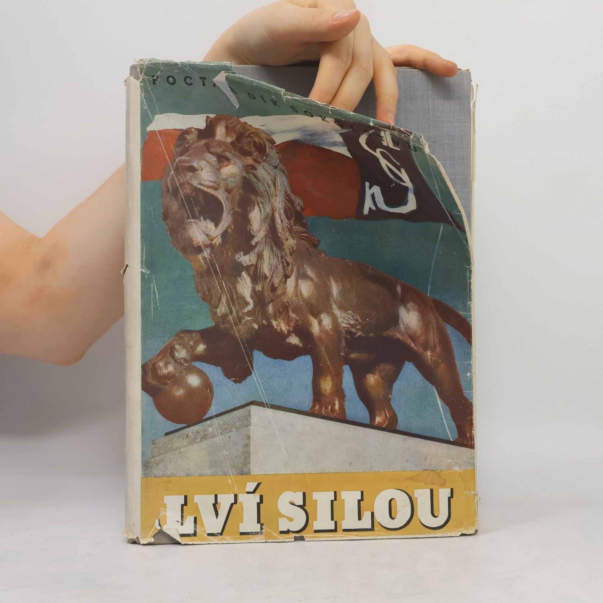Kolektív autorov Lví silou. Pocta a dík Sokolstvu